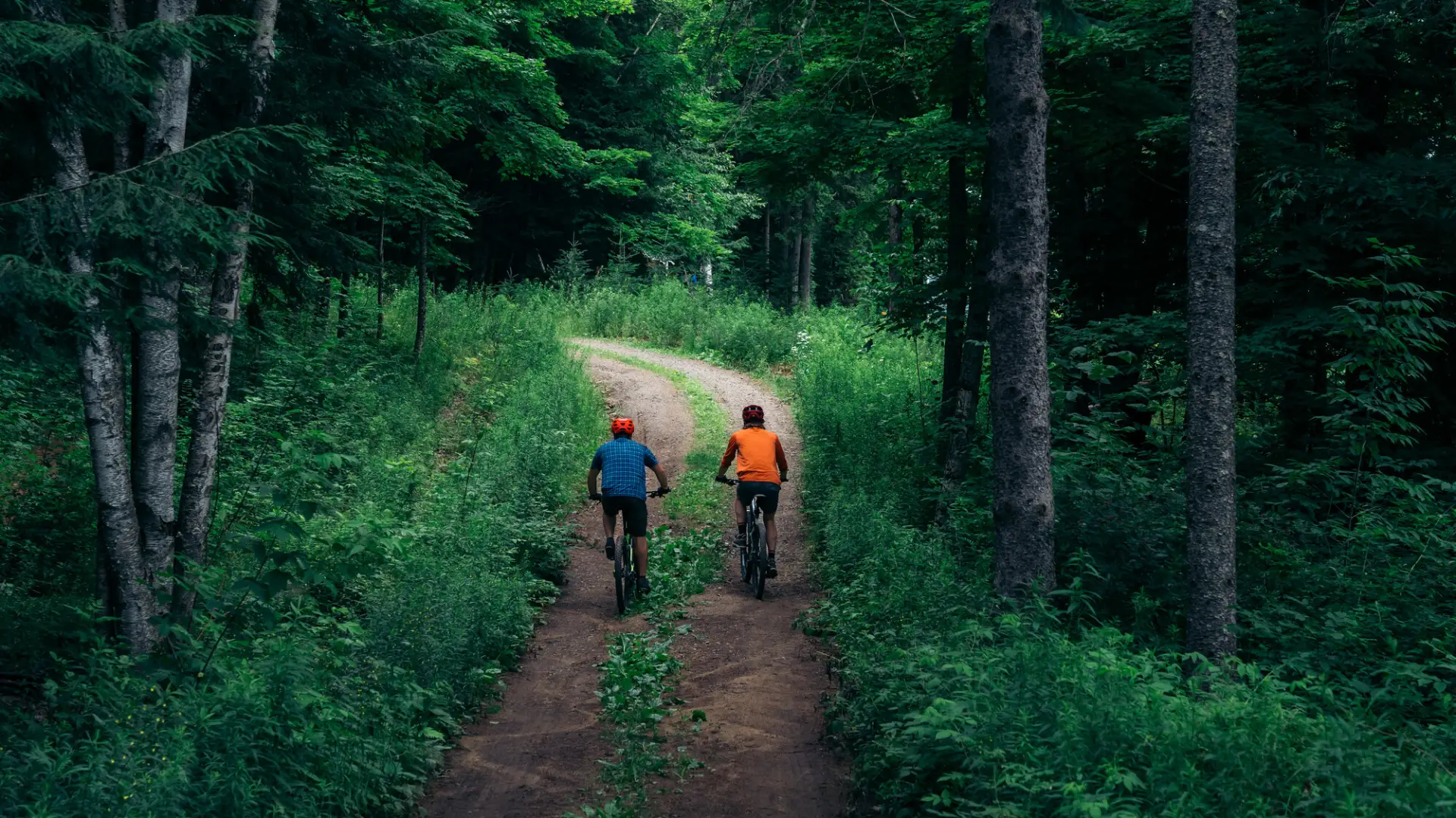 Two mountain bikers side by side