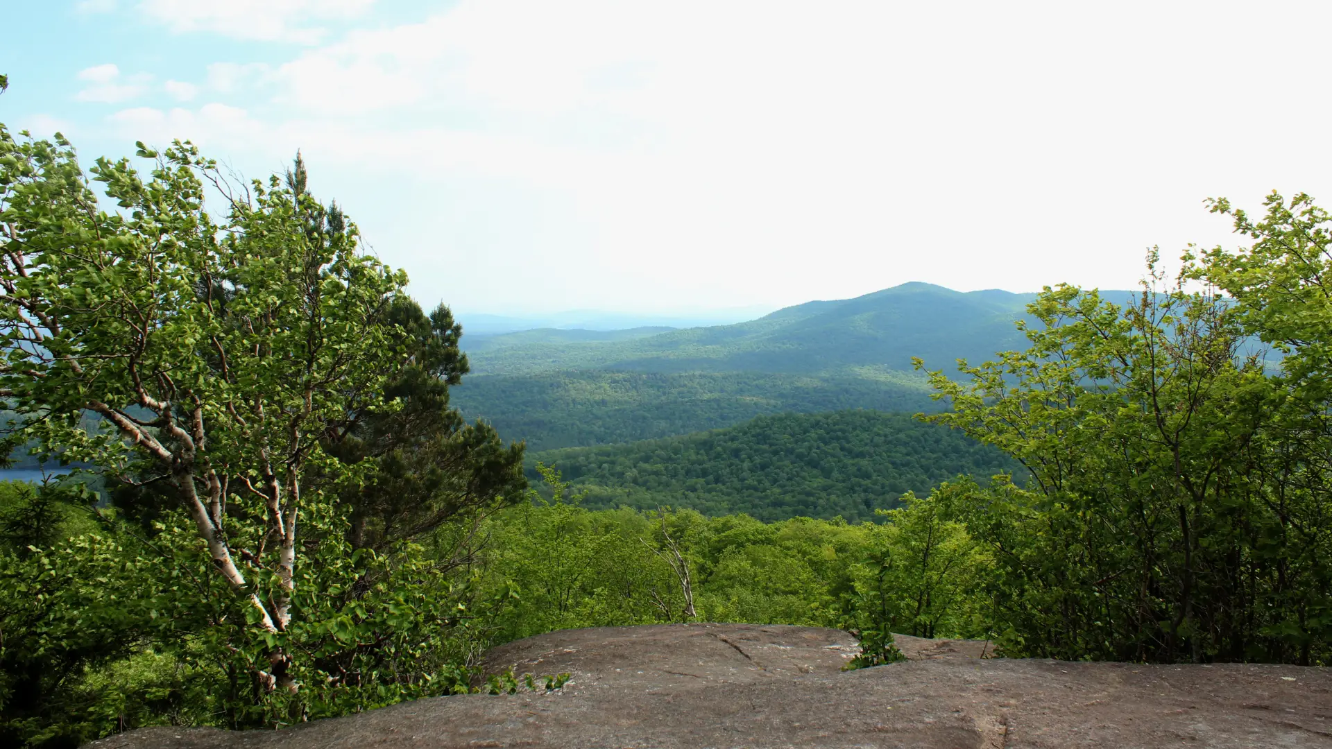 Jenkins has a nice view from a rocky summit.