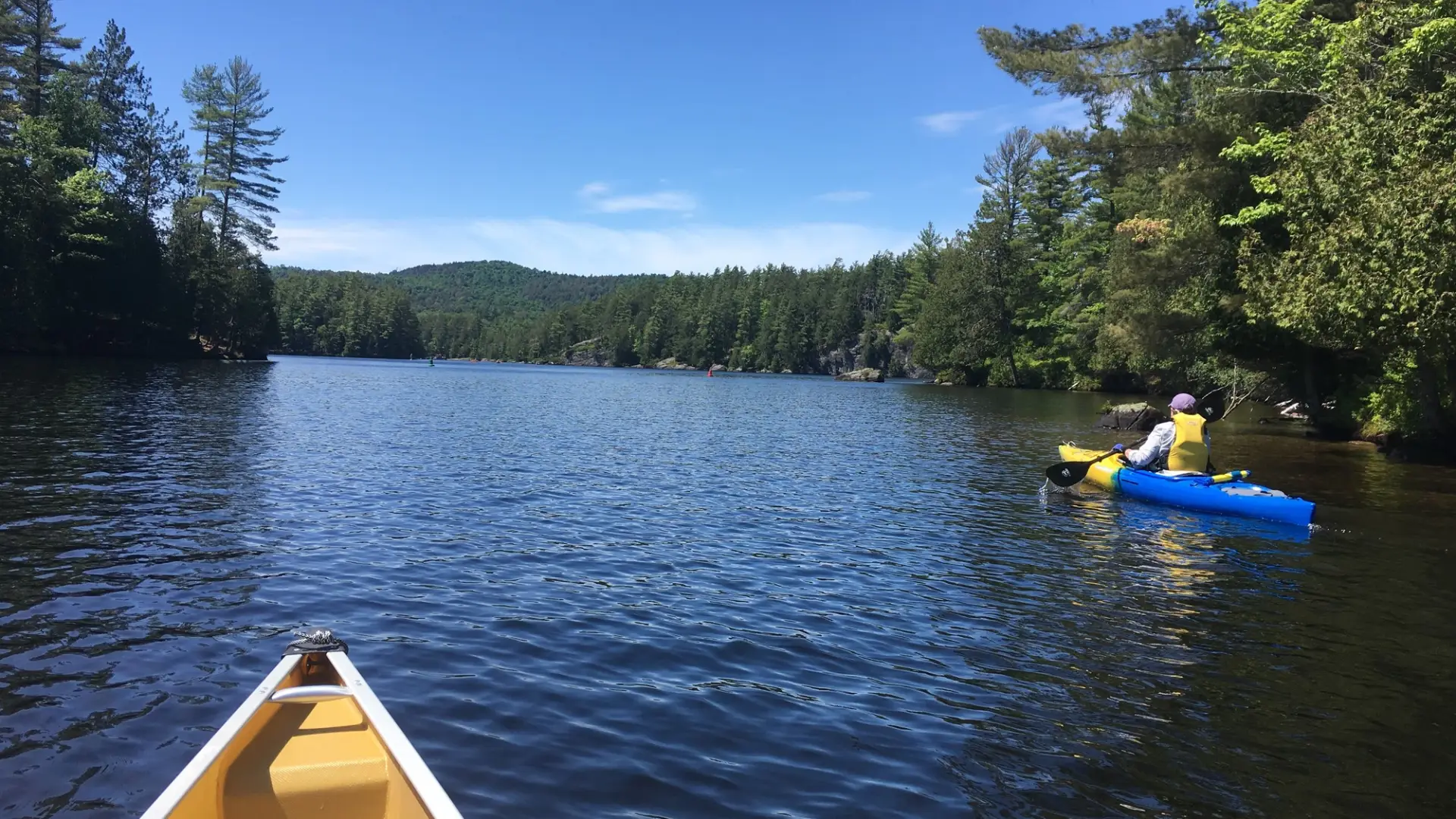 A canoe and kayak on a lake surrounded with green trees