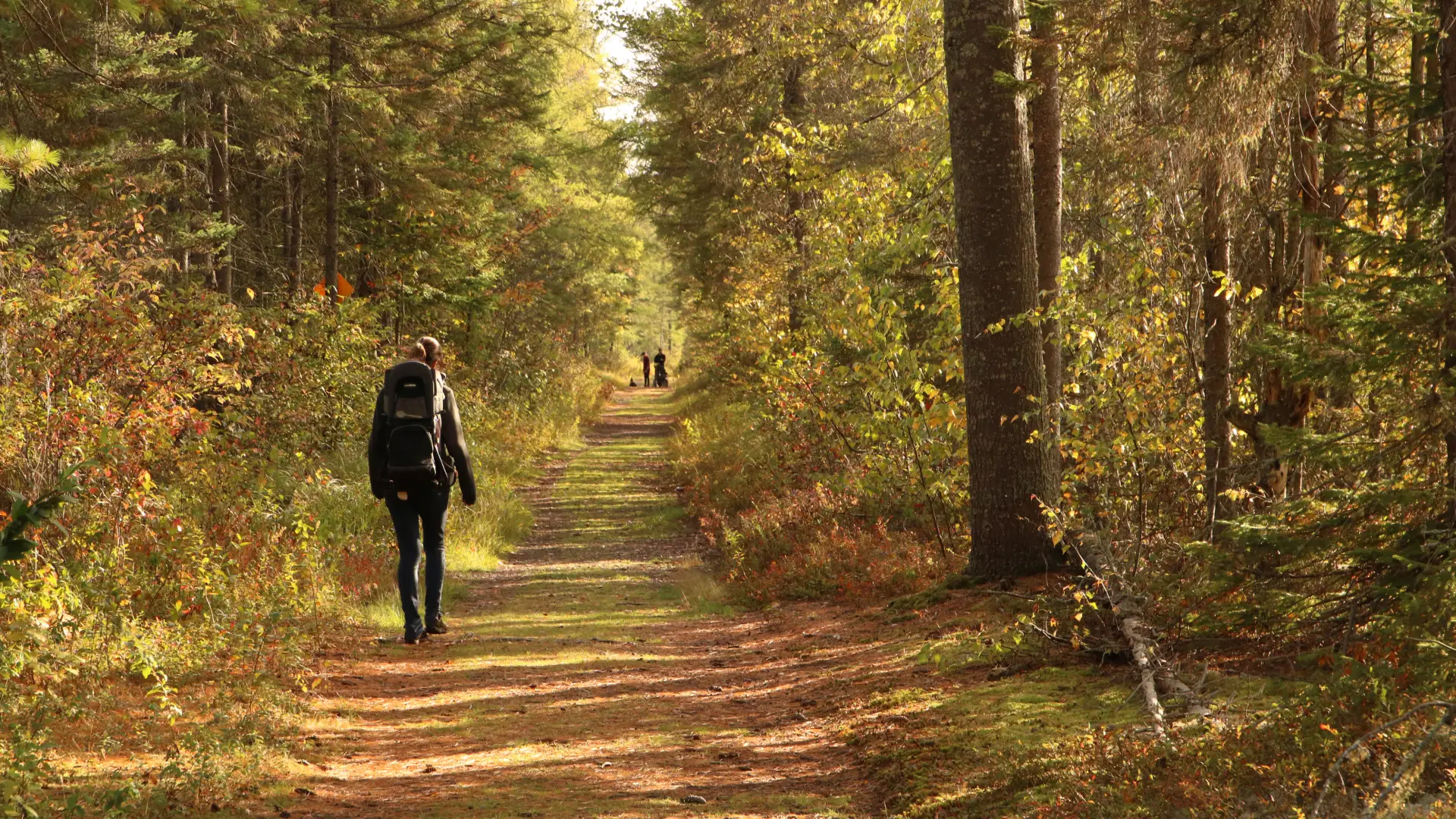 A person walking a flat trail in the fall