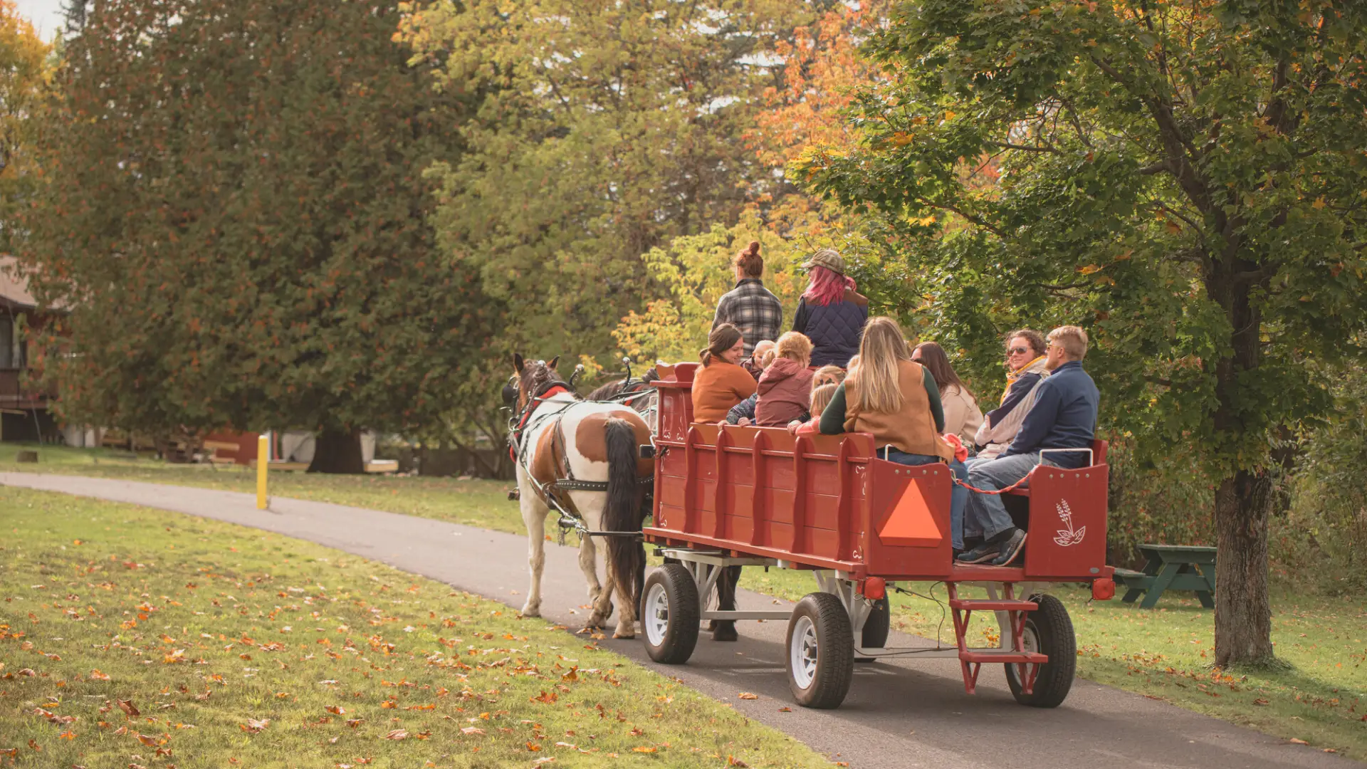 hay ride