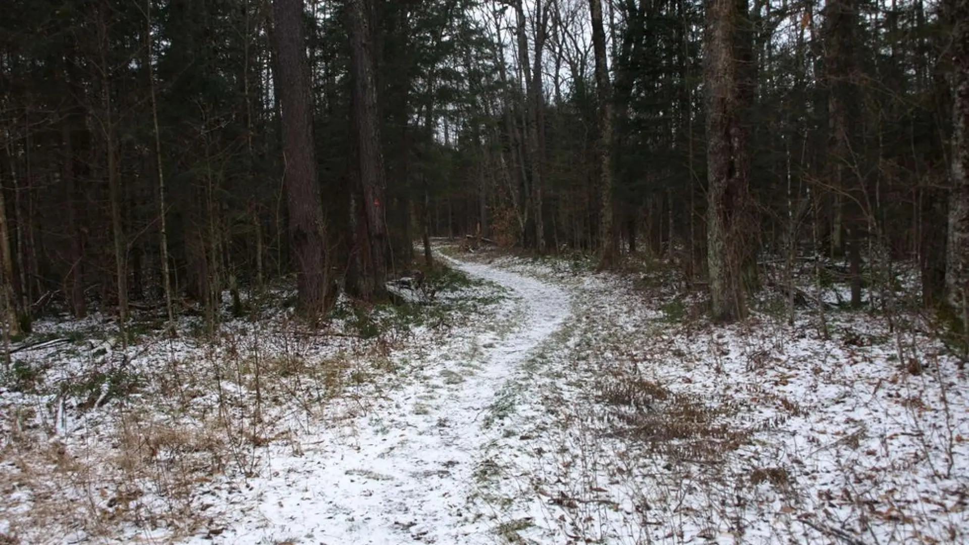 Late in the fall, first snowfall, and a crisp day perfect for hiking.