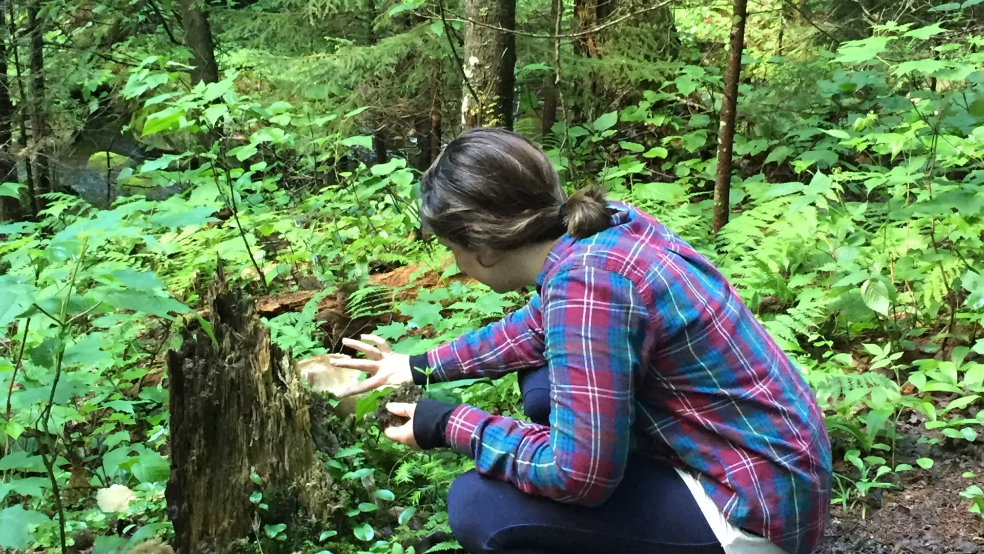 A crouching woman in plaid inspects the fungi on a stump.