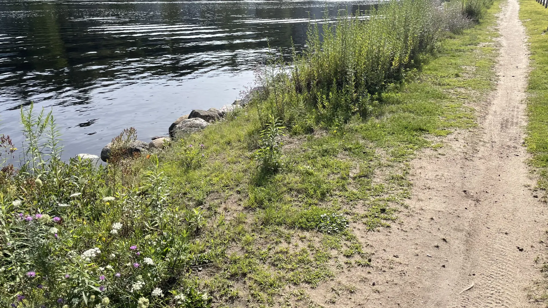 A narrow dirt path running along the edge of the water