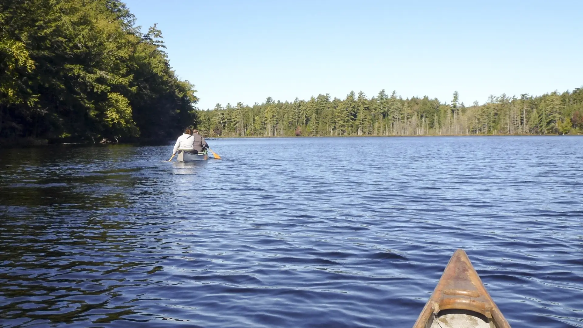Photo from a canoe with 2 people paddling at polliwog in the distance.