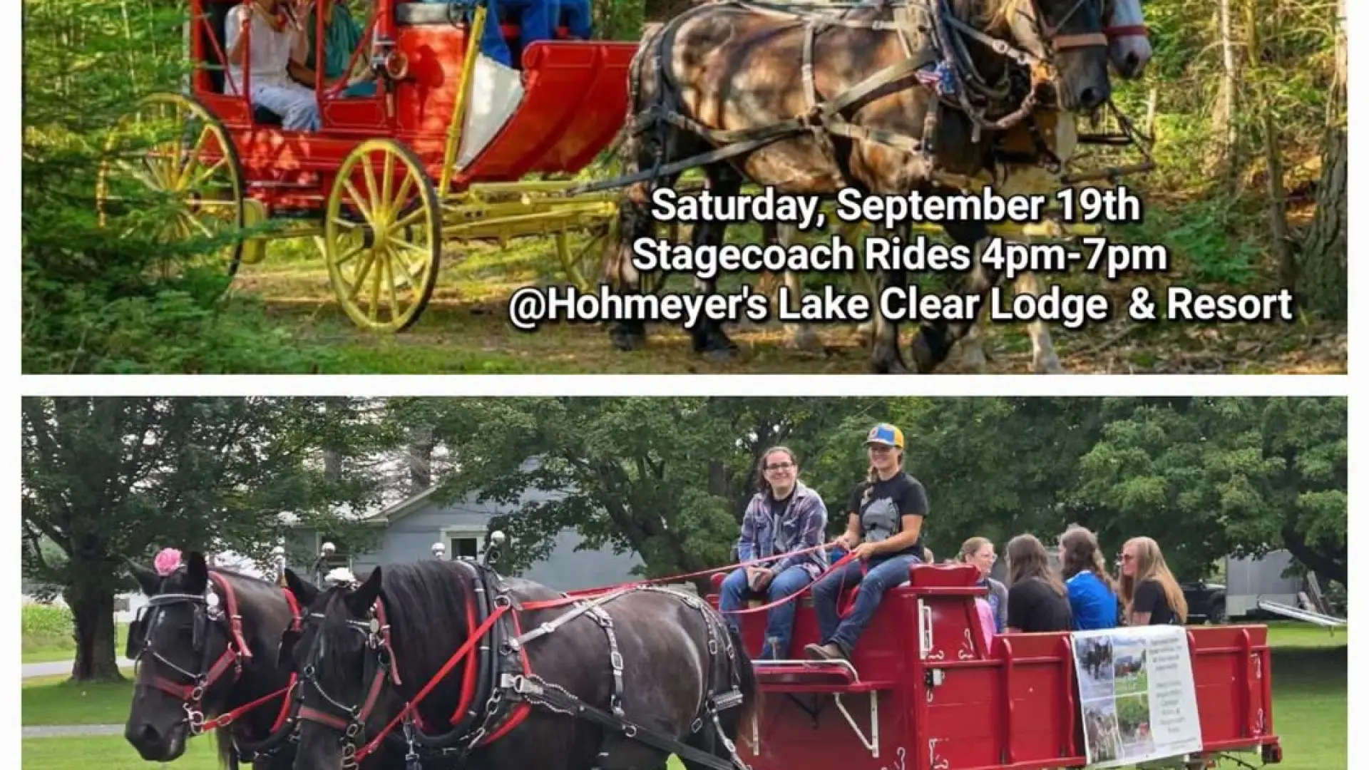 Draft Horses - two photos