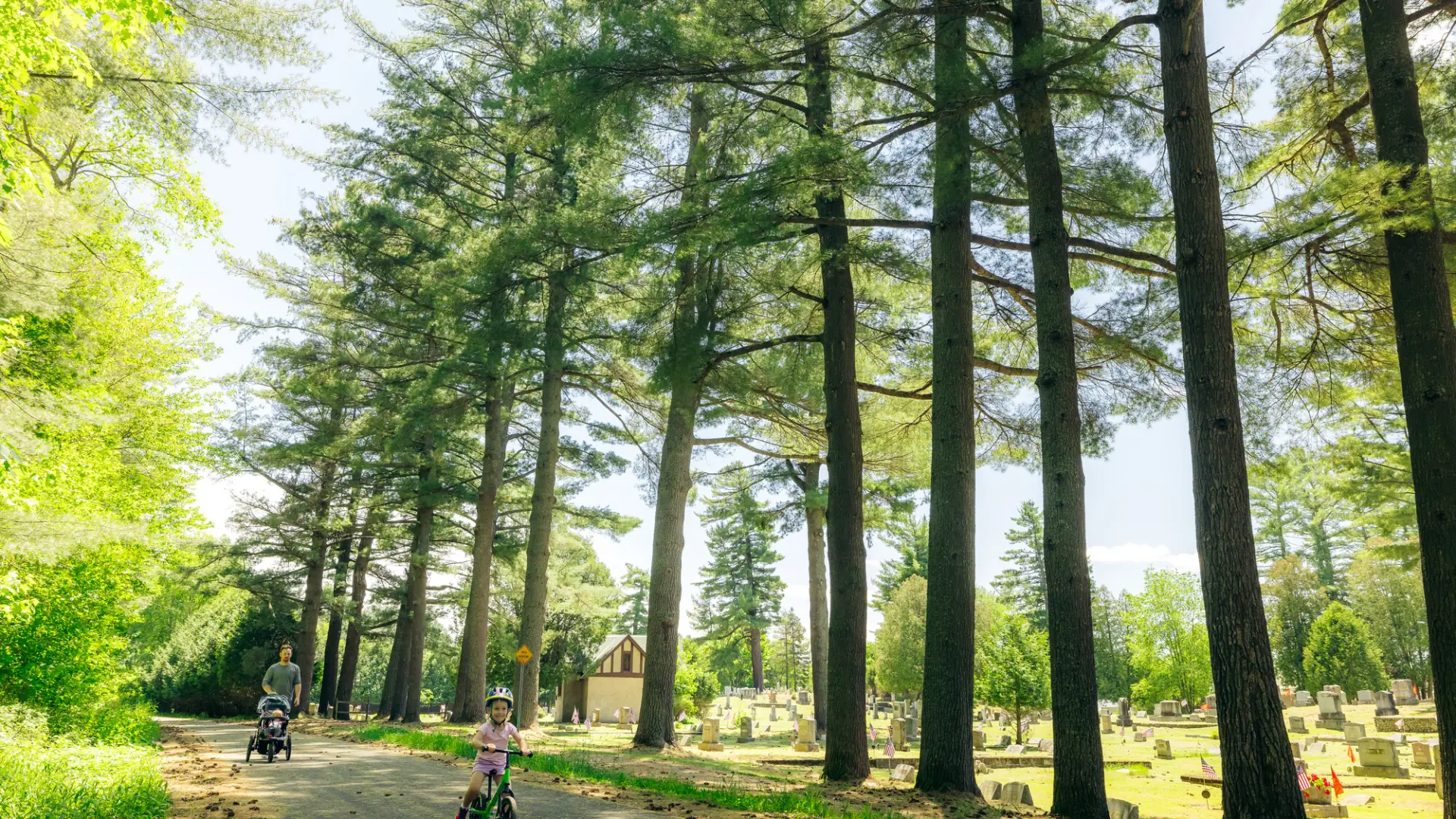 A family cycles by large pine trees
