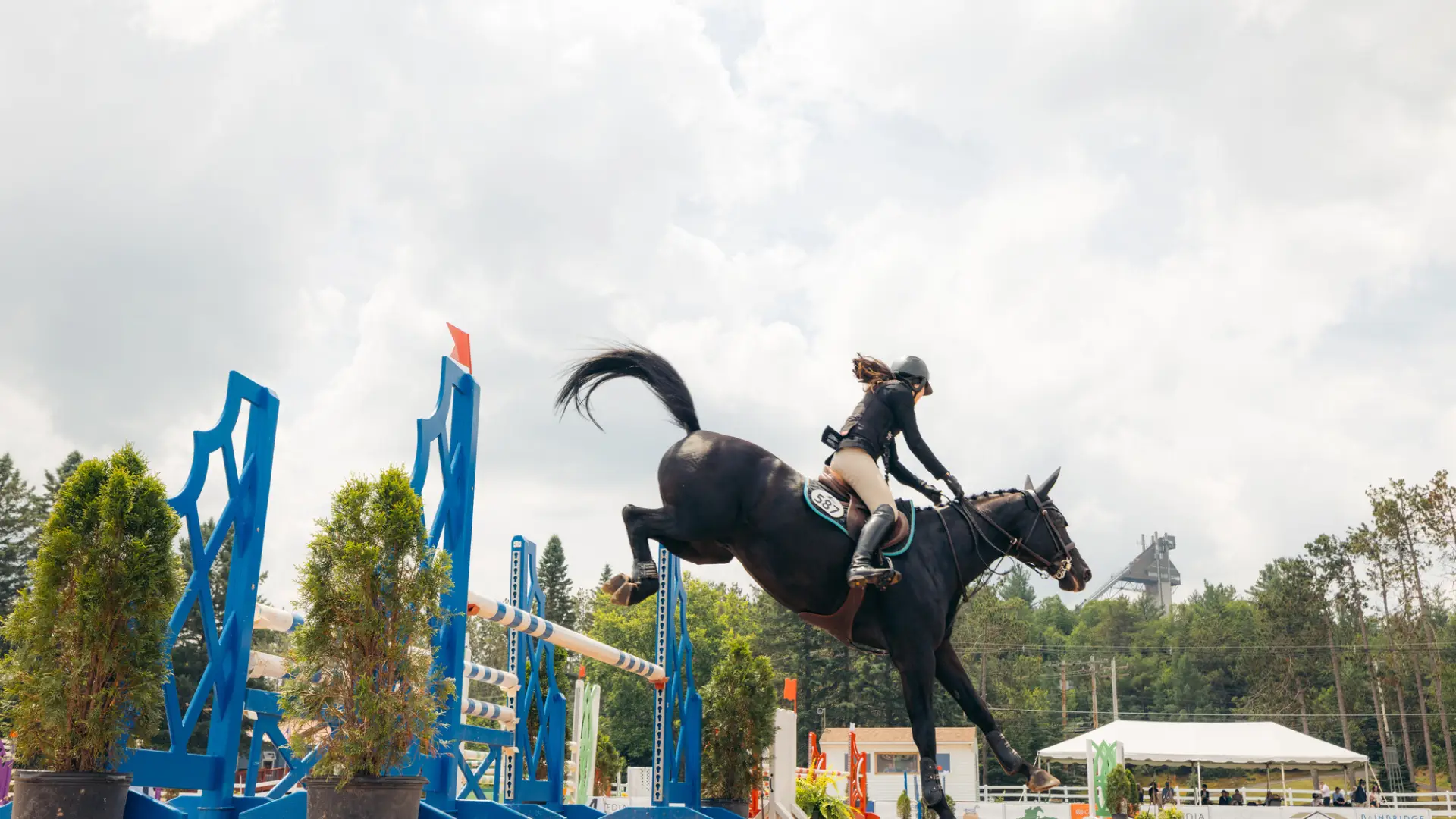 A rider on a black horse completes a jump over the bar.