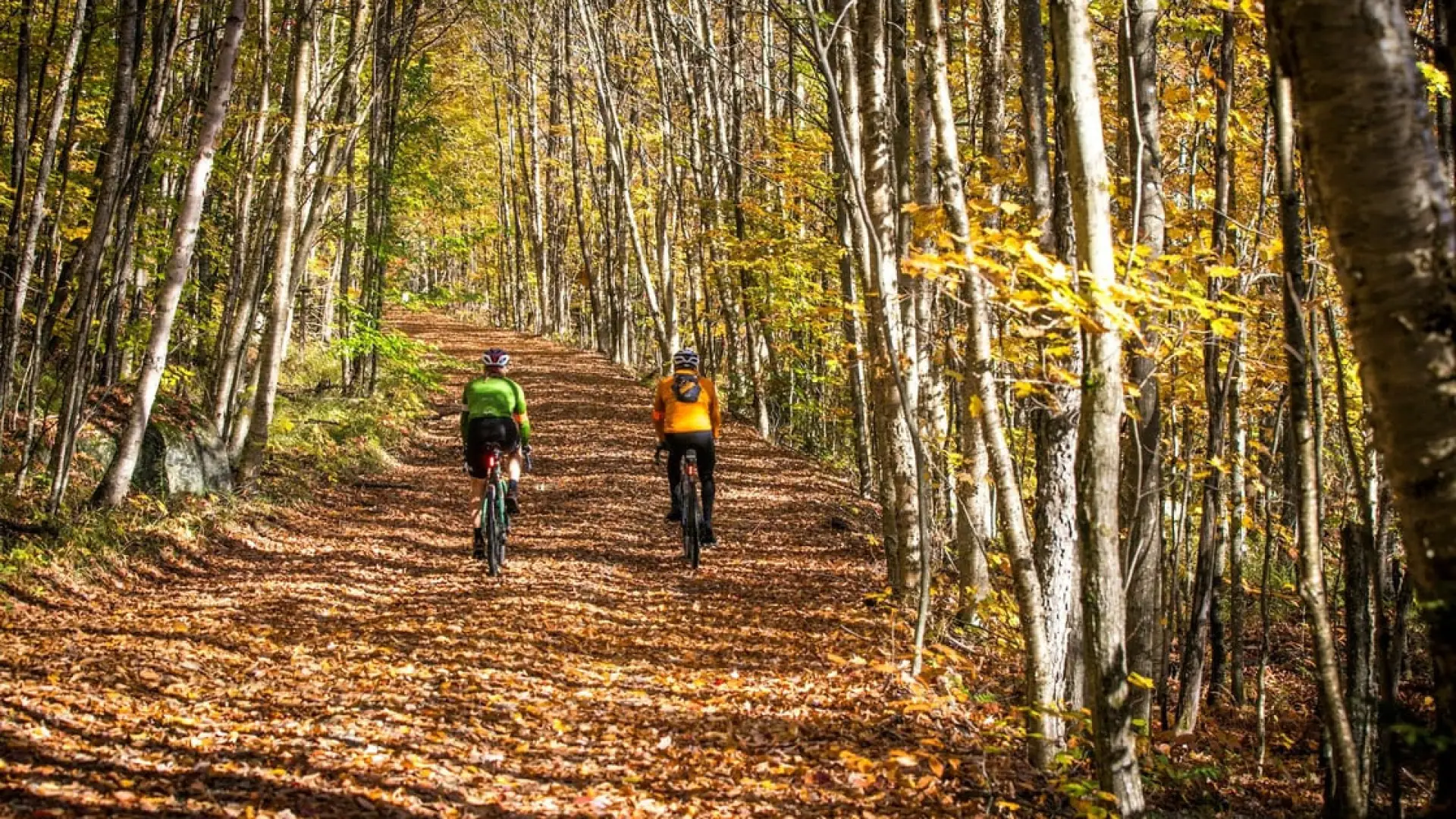 two cyclists on a backcountry trail on a sunny fall day 