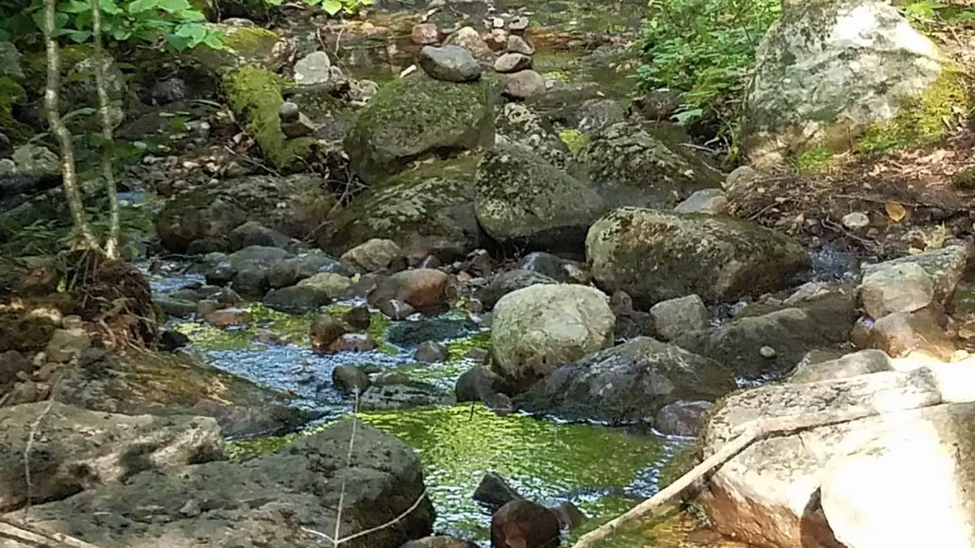 A rocky stream