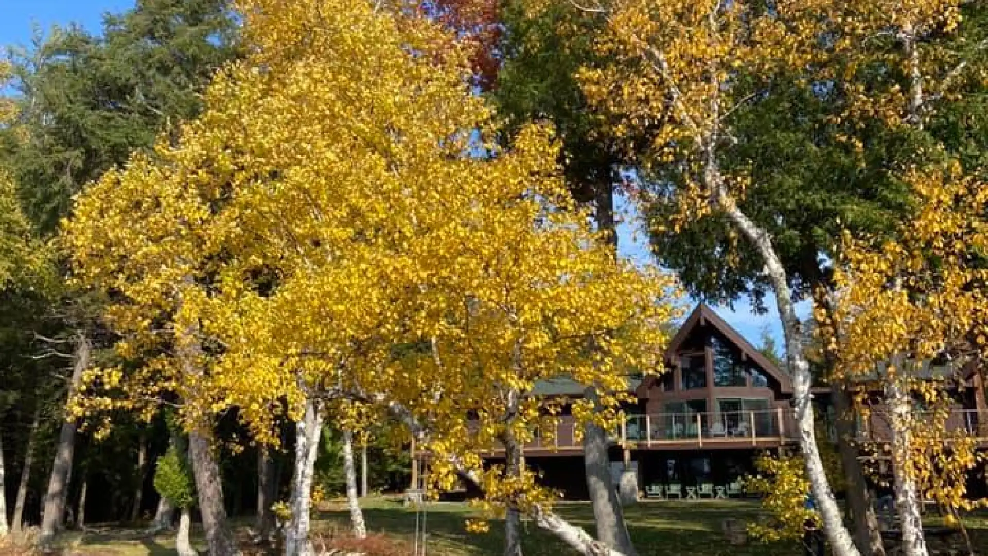 Fall view of the Alpenglow Lakeside Lodge from the dock showing all the vibrant foliage against the blue sky.