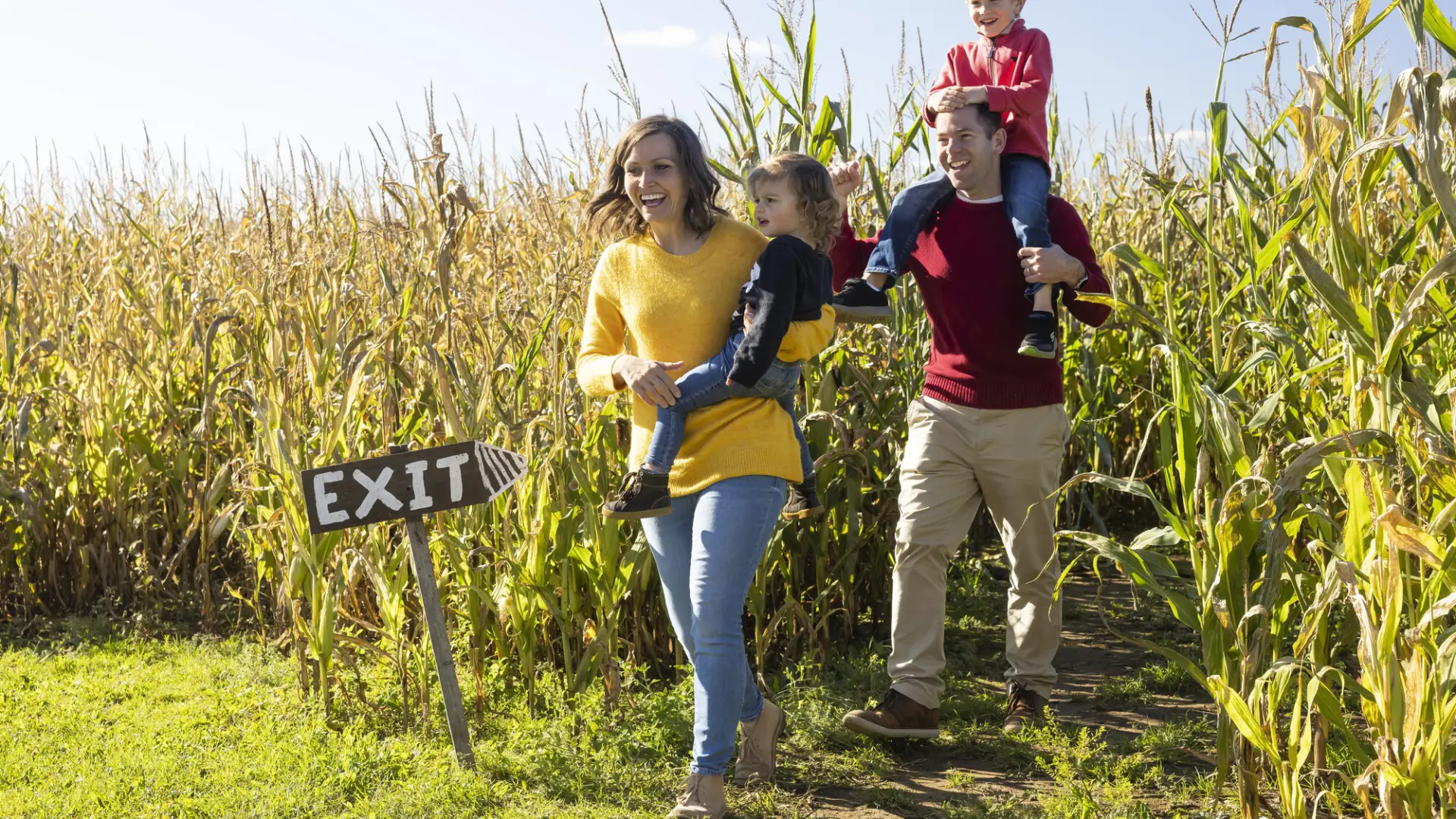 A man and woman carry their two young children out of a corn maze. 