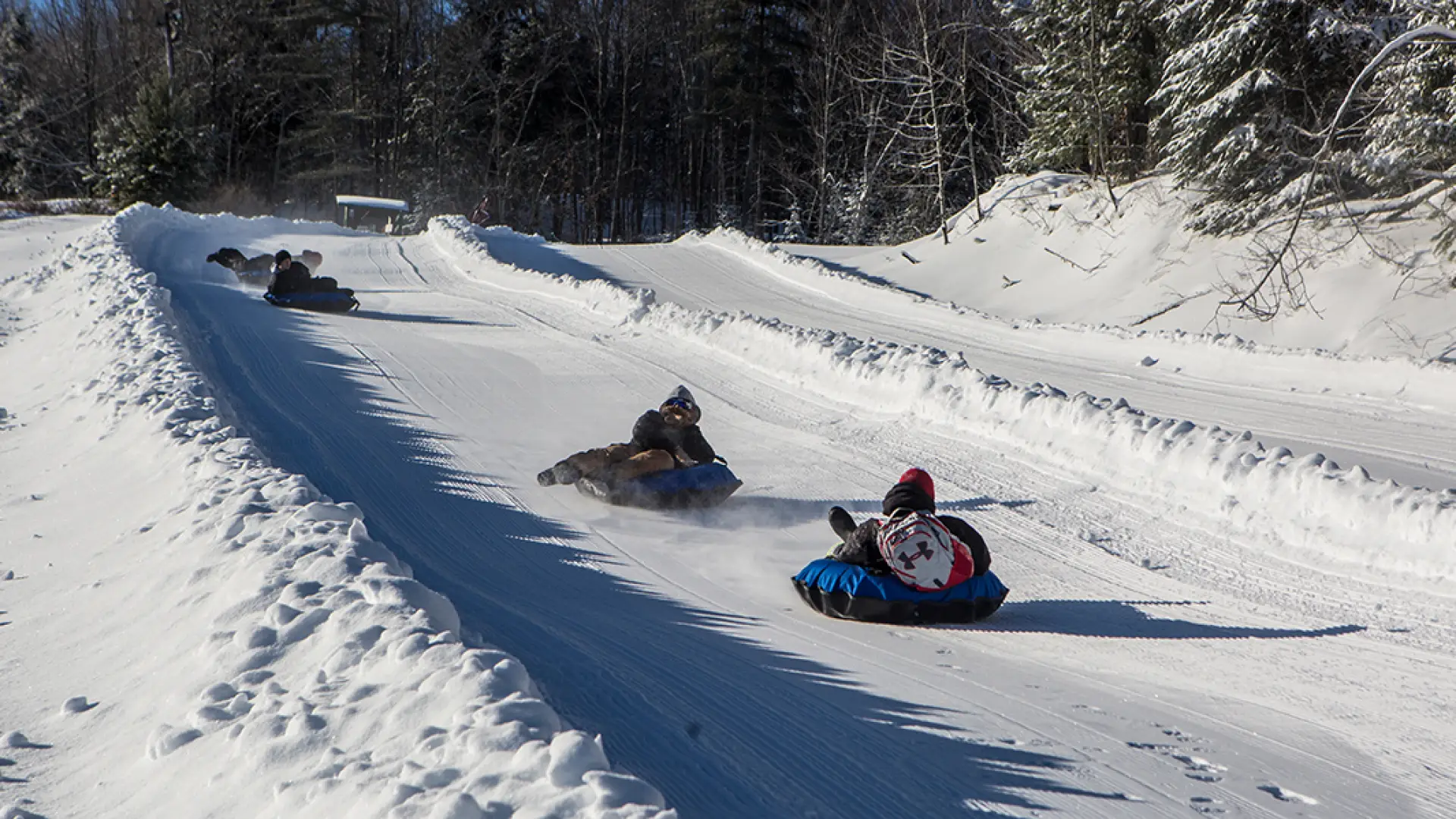 A bunch of tubers at Mt Pisgah
