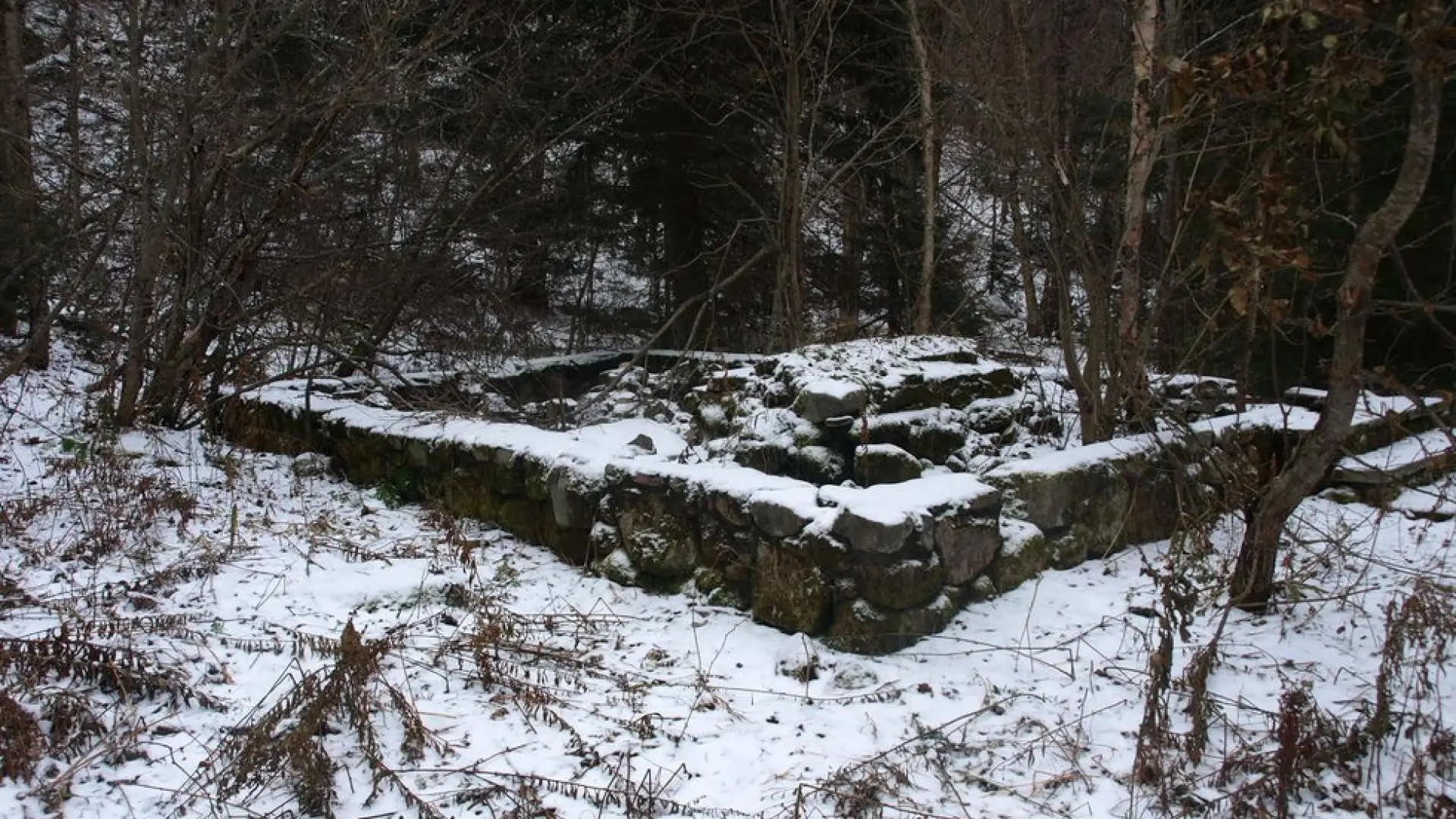 Look for the foundation of a cabin.
