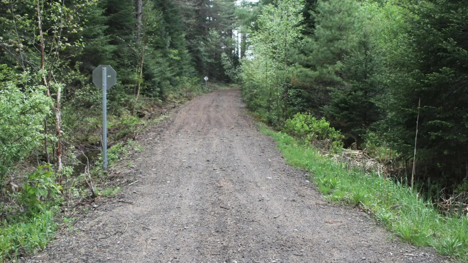 Dirt road leading to the rustic retreat at Rockledge Cabins & Retreats.
