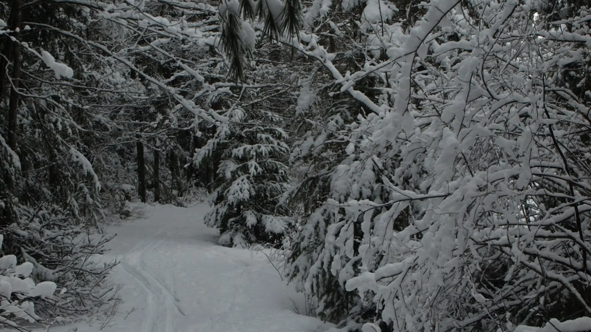 A wonderful trail for backcountry skiing or snowshoeing.