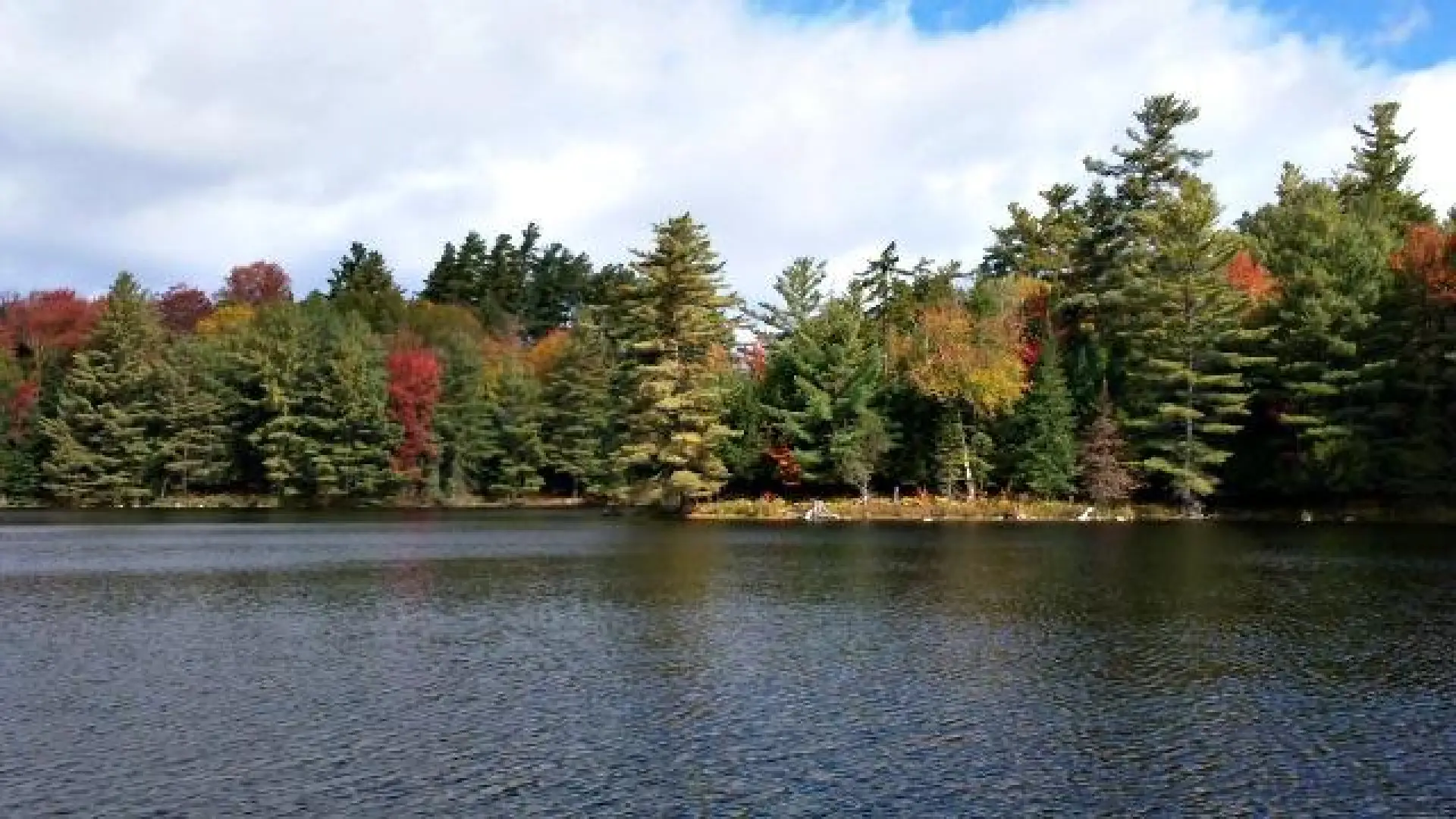 church-pond-fall