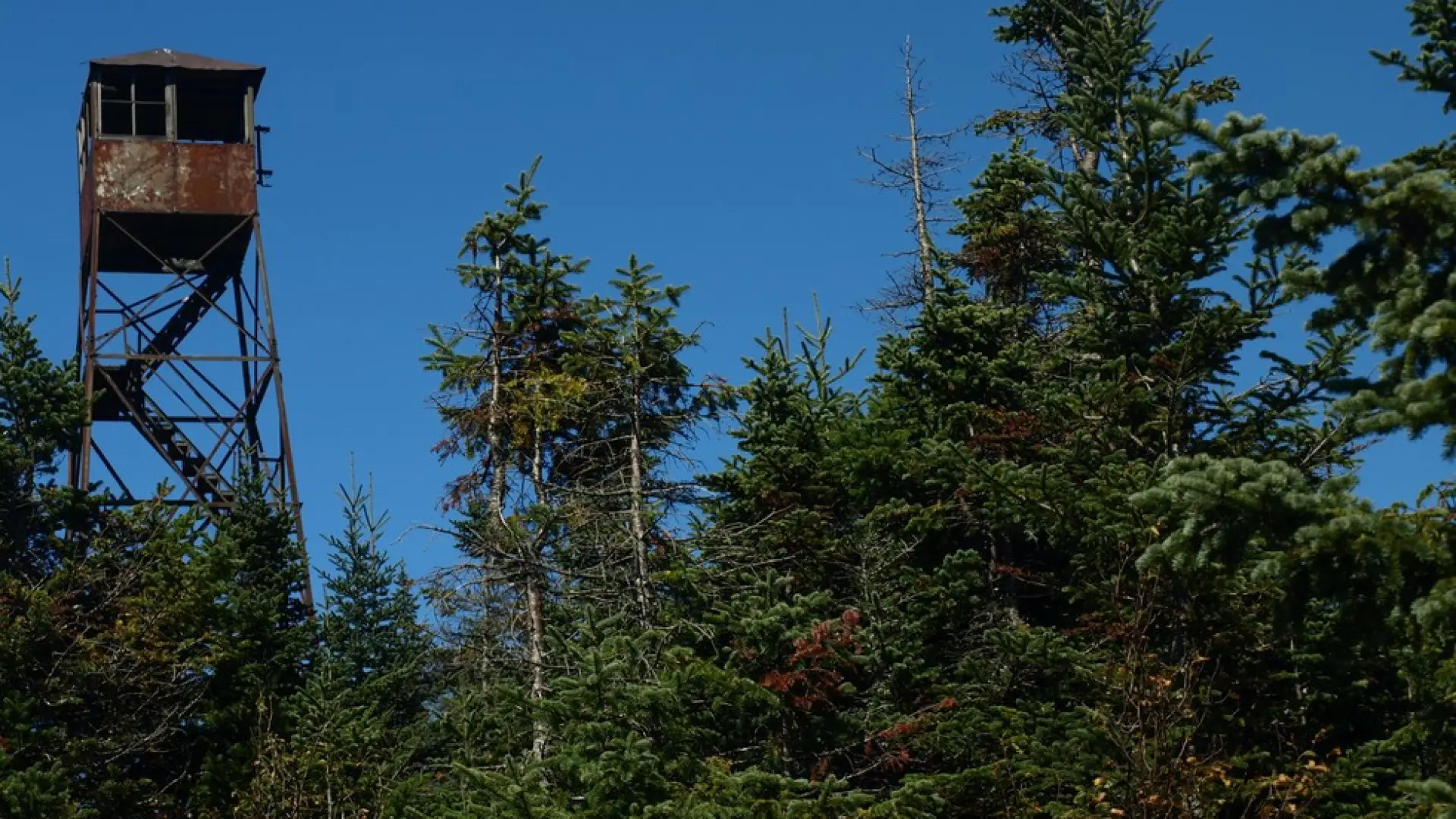 The old, rusty firetower on Loon Lake Mountain