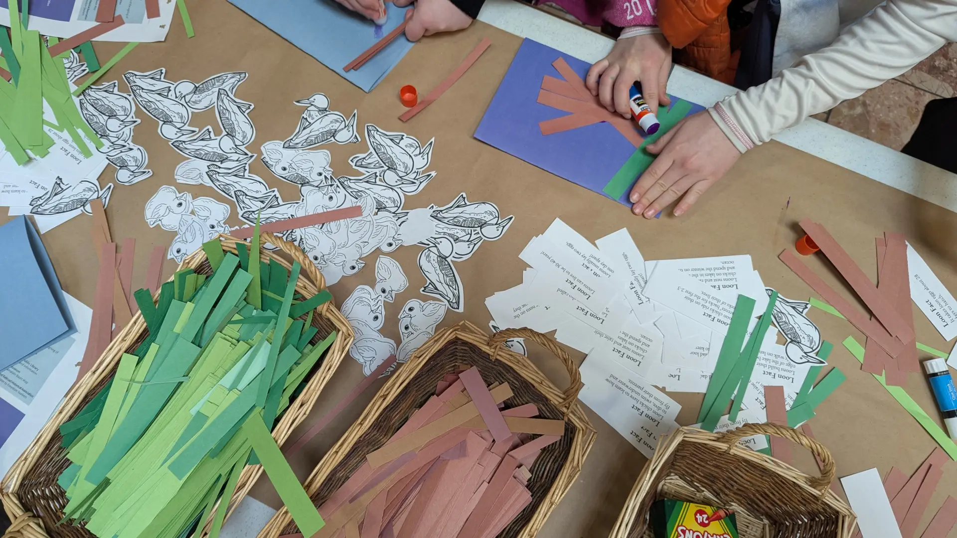 Crafting a nest activity with the center for loon conservation
