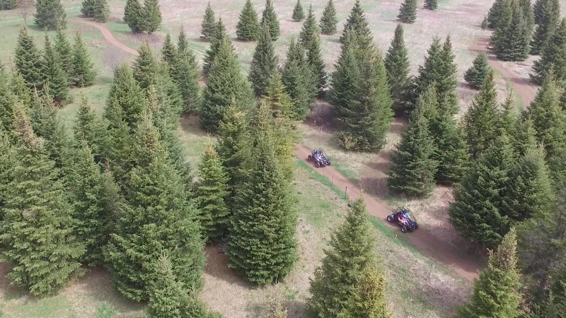 Aerial view of the path through the woods you will travers in the side by sides  
