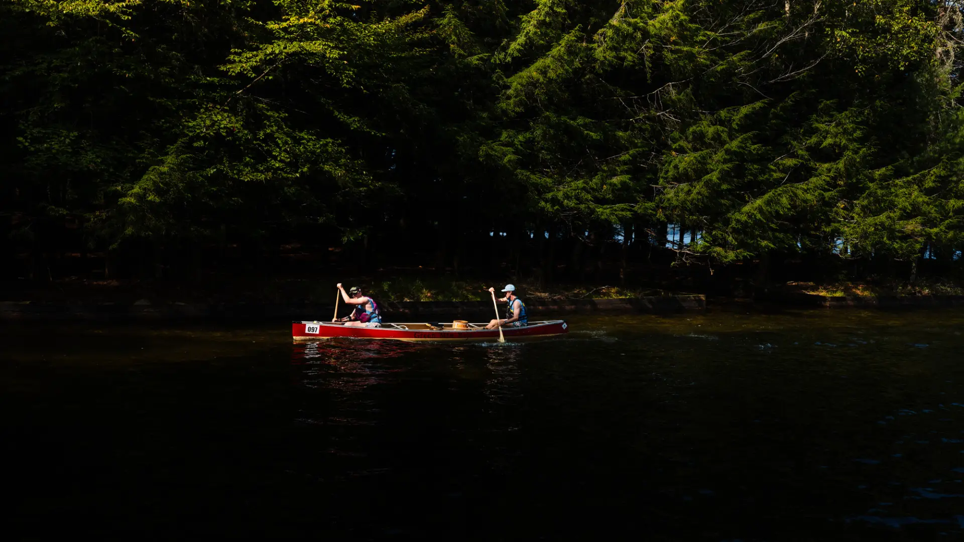 Two people paddle in  a canoe on a river in summer. 
