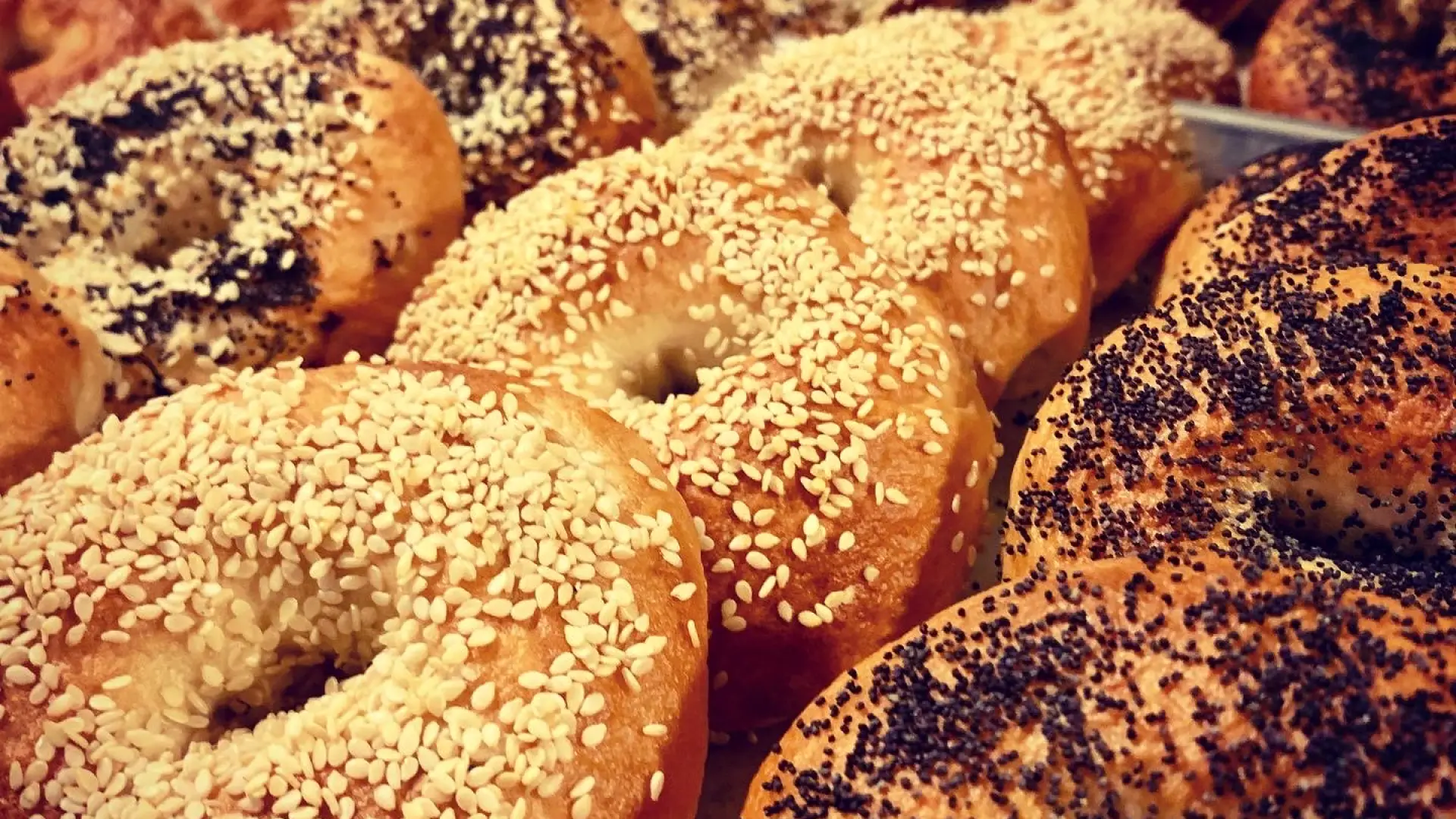 Bagels with various toppings