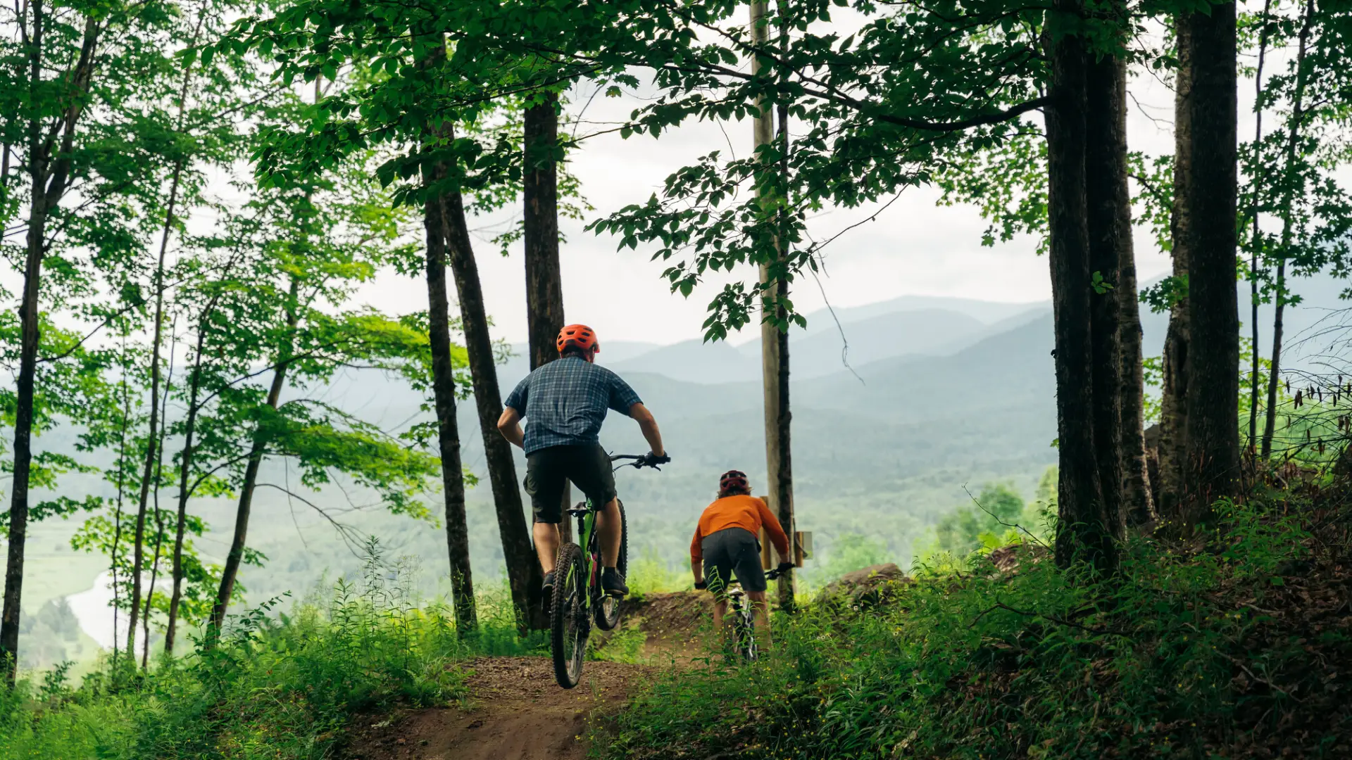 Two mountain bikers leaving the forest