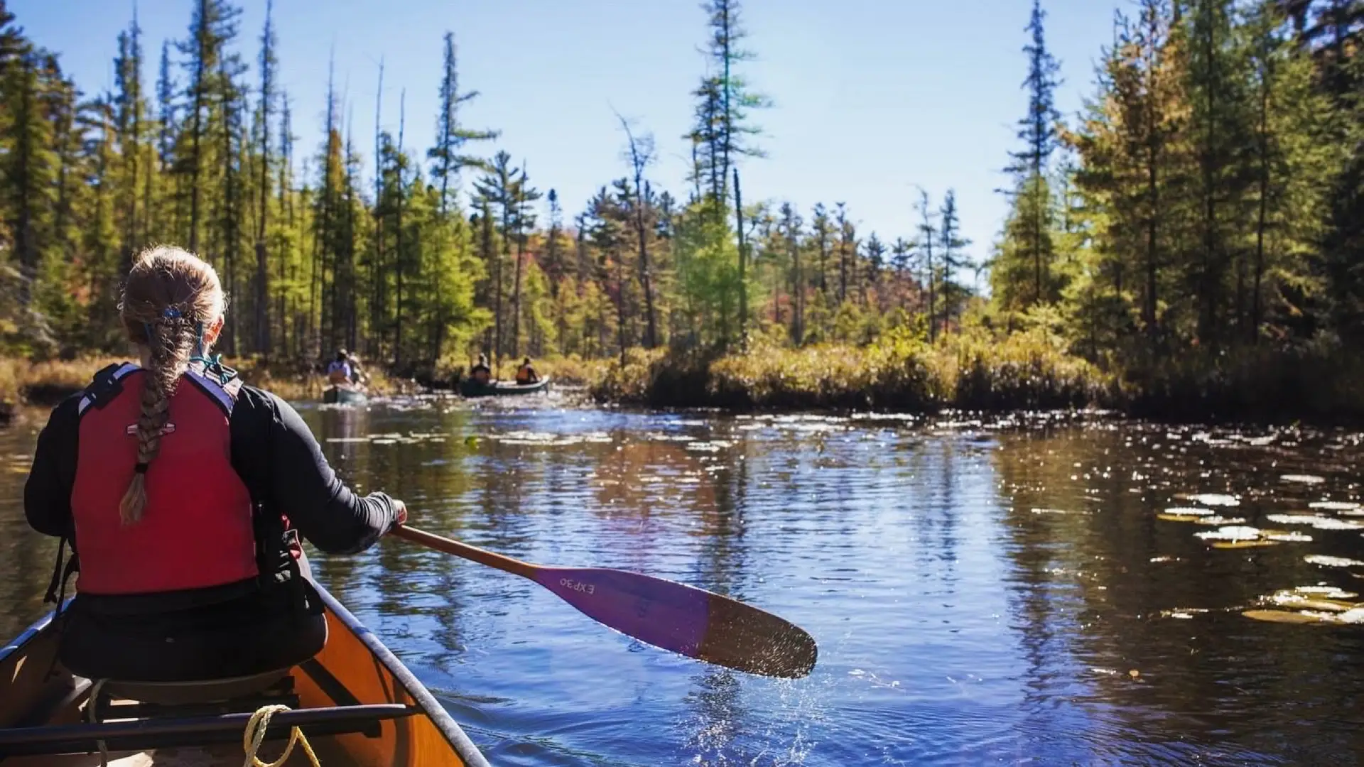 View of the river from the back seat of the canoe.