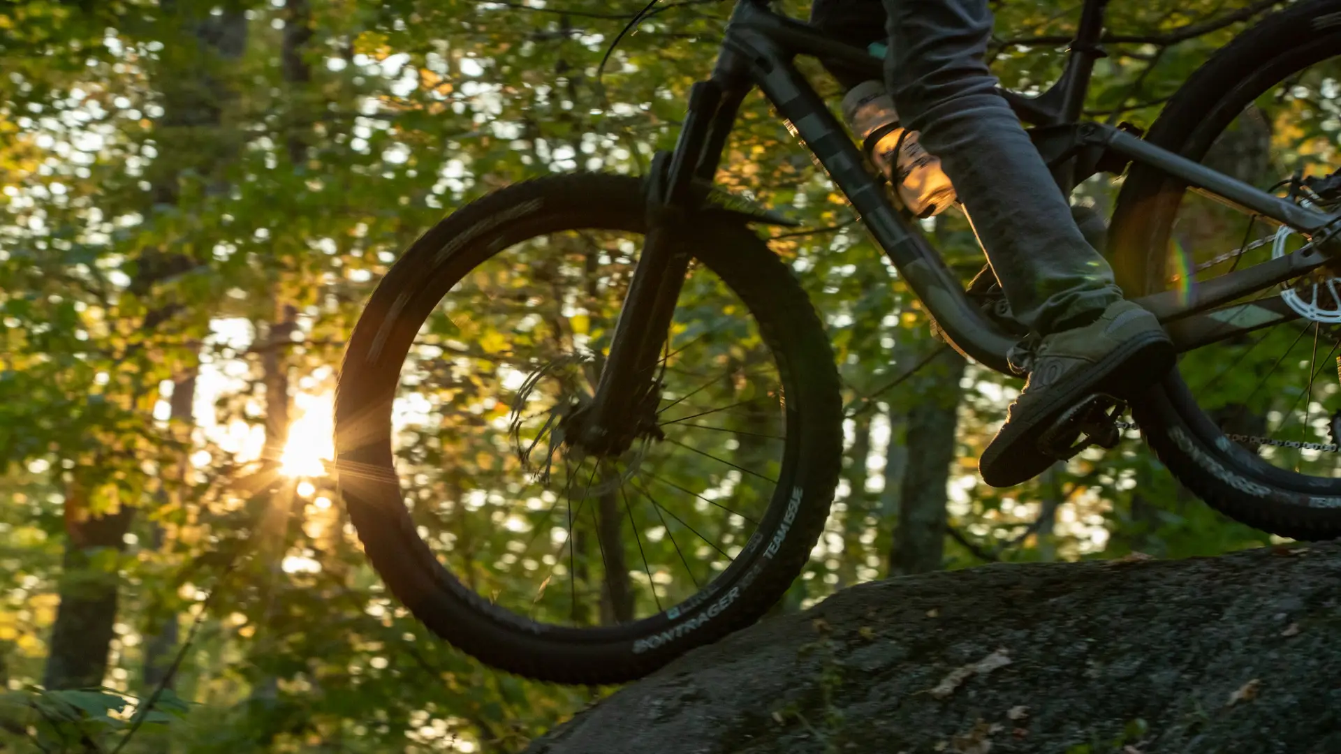 The silhouette of a mountain bike in front of a forest