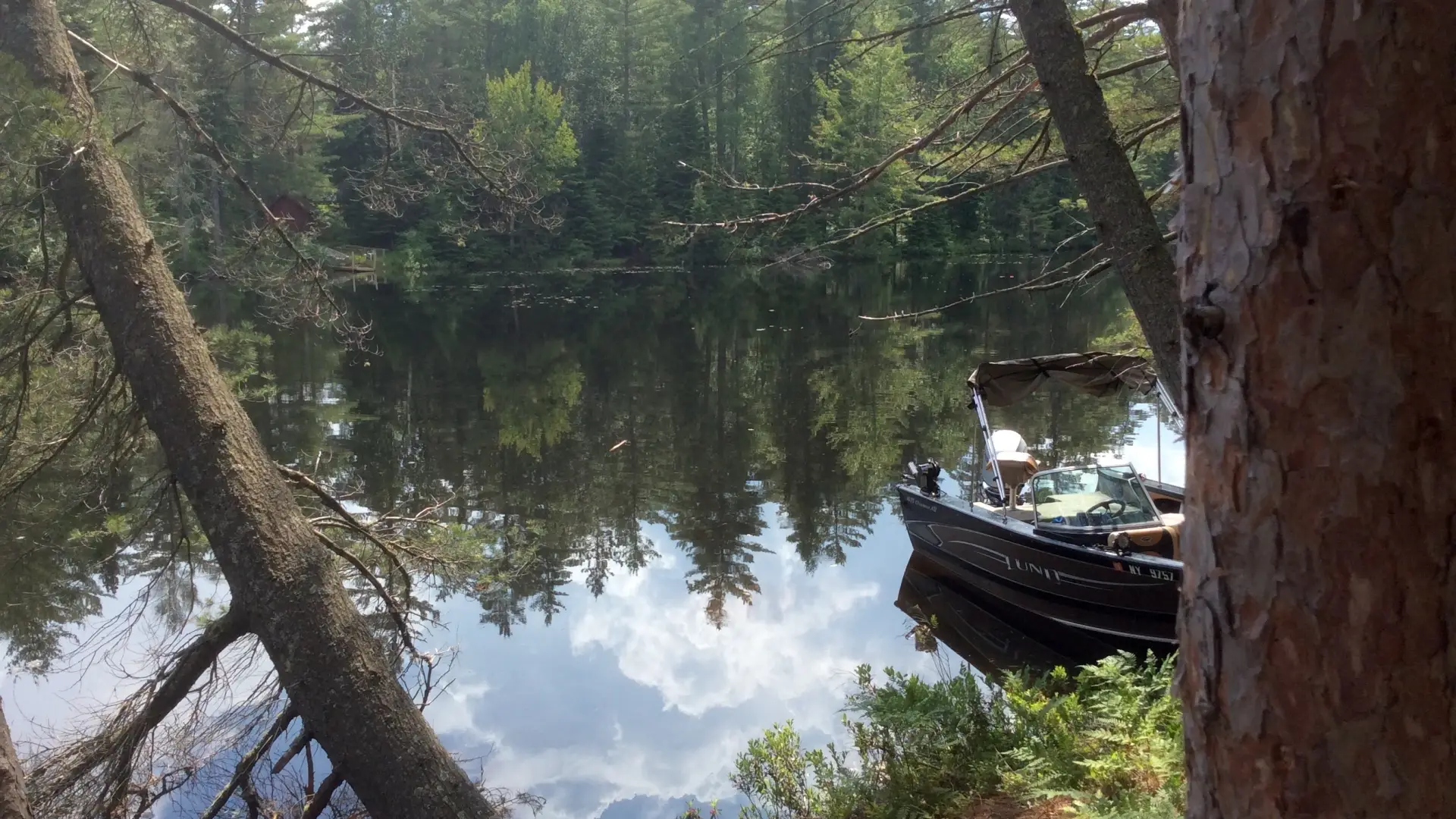 Lots of places for boats and paddling at Buck Pond.