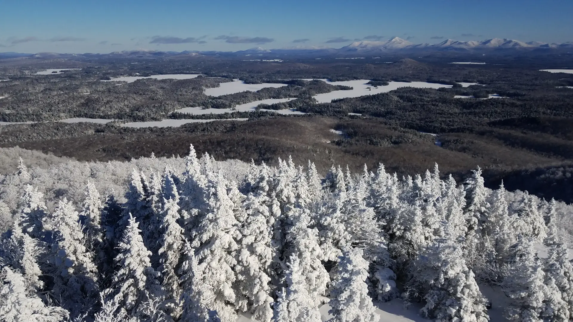 View from St Regis fire tower