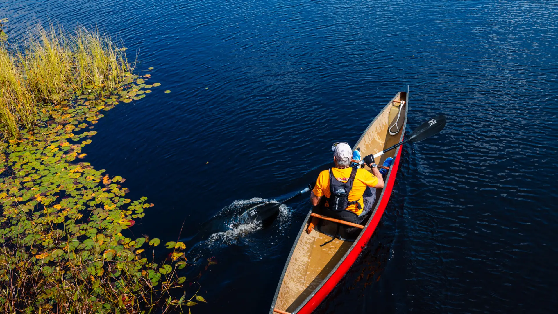 A person in a yellow shirt paddles a long, slender red canoe through deep blue water past a patch of lily pads.