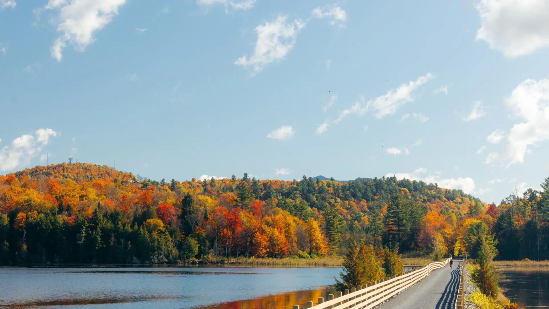 A causeway cuts through a lake in fall.