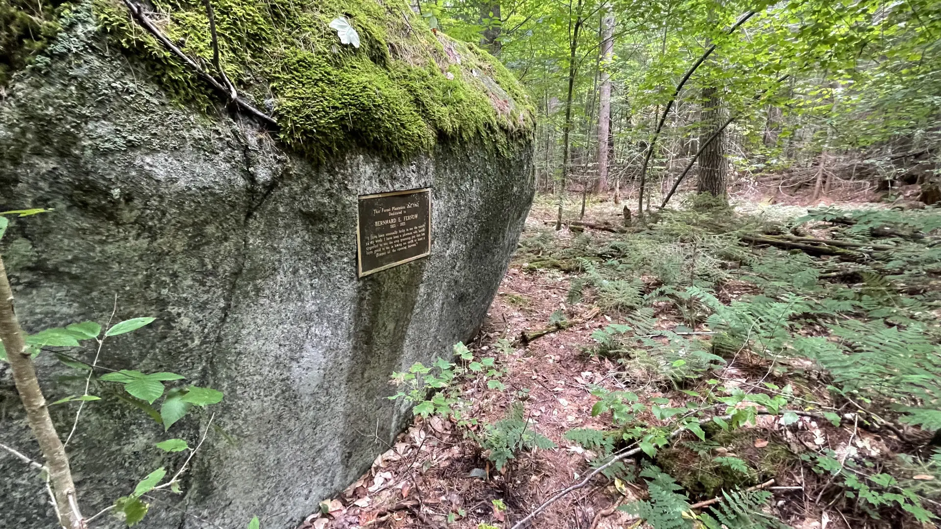 A metal plaque on a mossy rock.