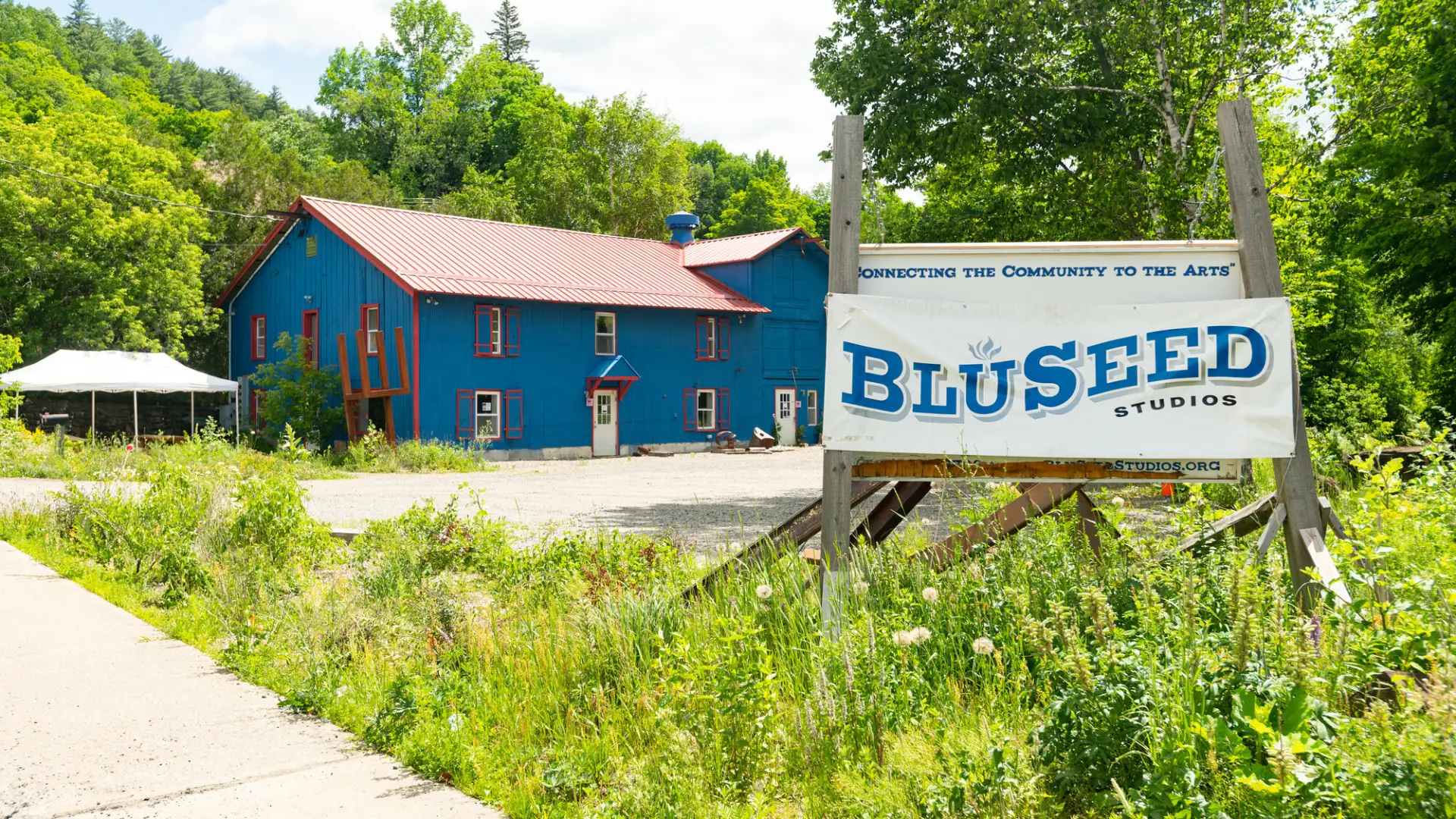 bluseed now cedar street