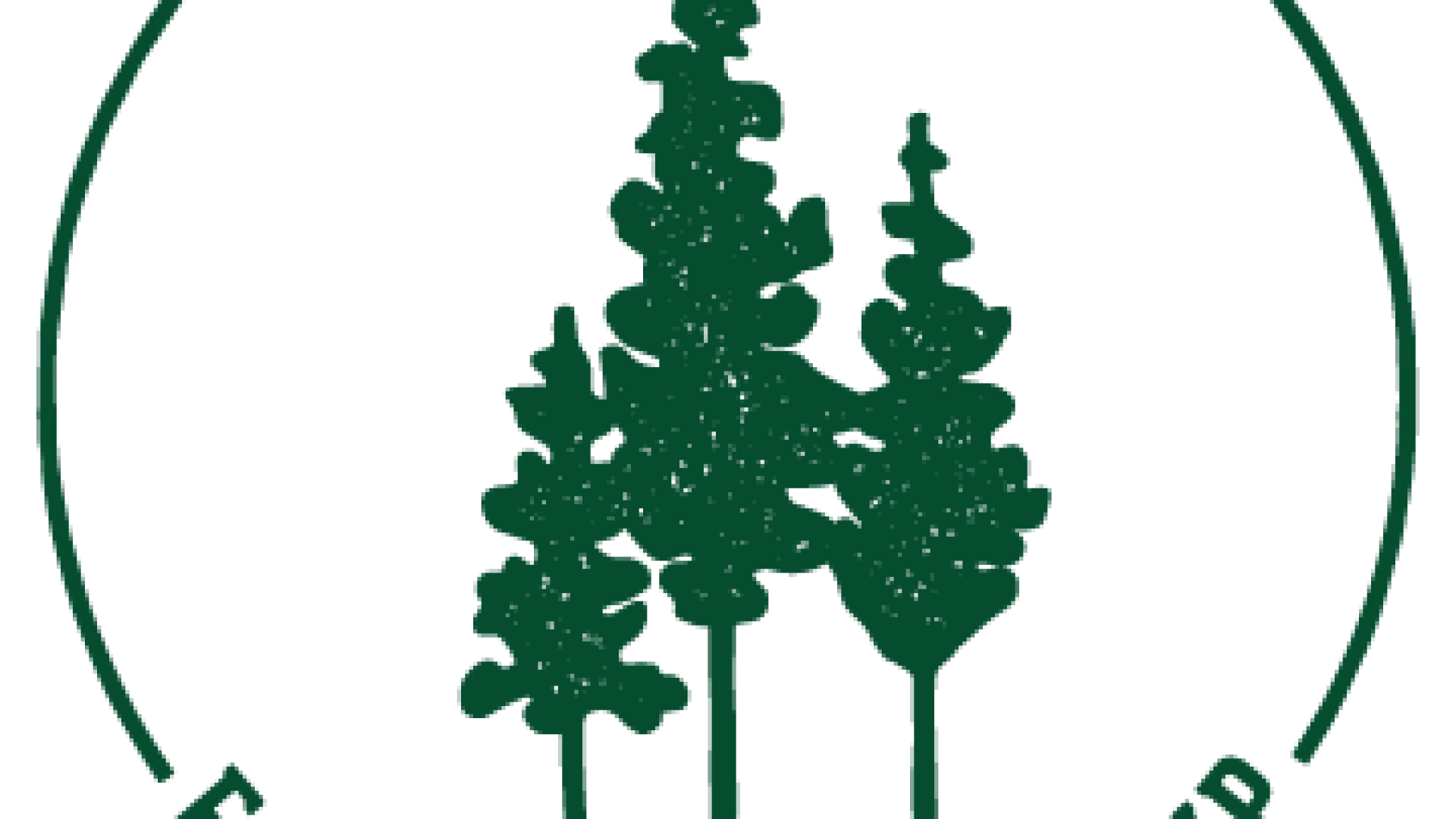 Illustration of three green pine trees on a white background surrounded with a green badge and Eagle Island Camp.
