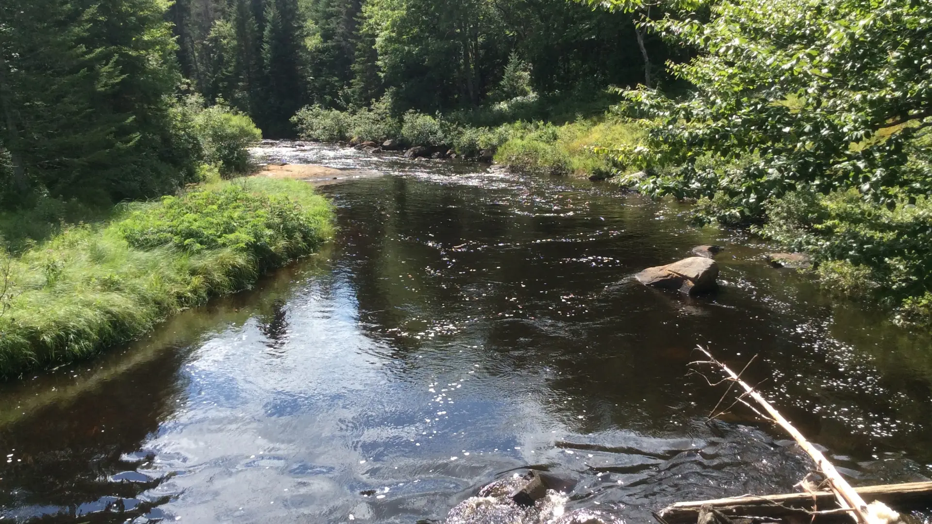 Fishing and hiking at Quebec Brook.