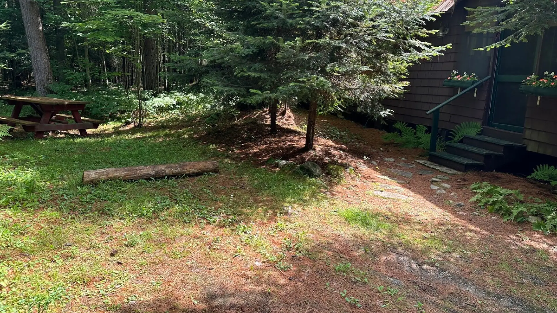 The wooded outdoor space at Rockledge Cabins & Retreats 