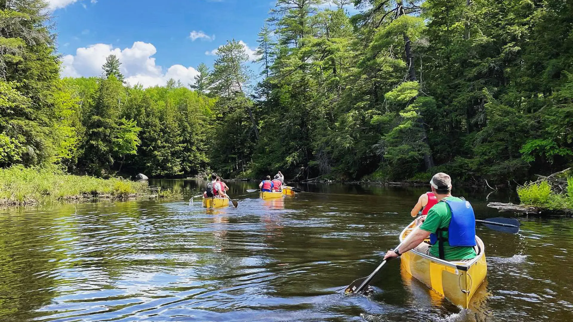 A group of canoes paddle down the river.