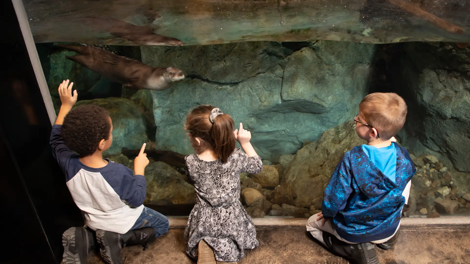 Three young museum attendees observe one of The Wild Center's river otters swimming through his enclosure