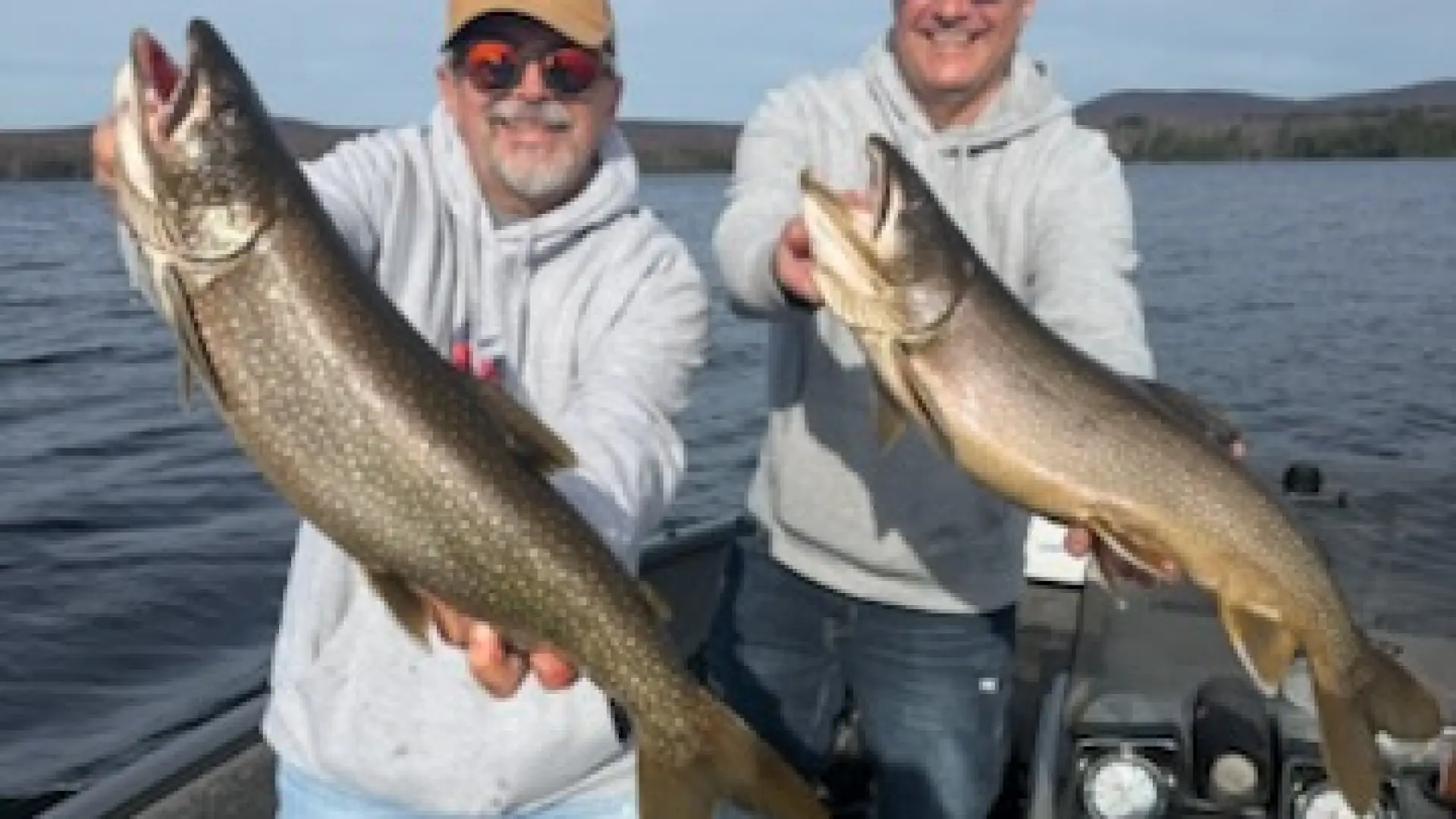 Two men each holding a huge fish.