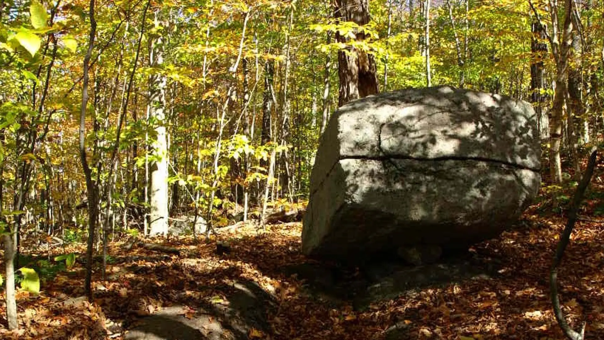 A large boulder in the woods