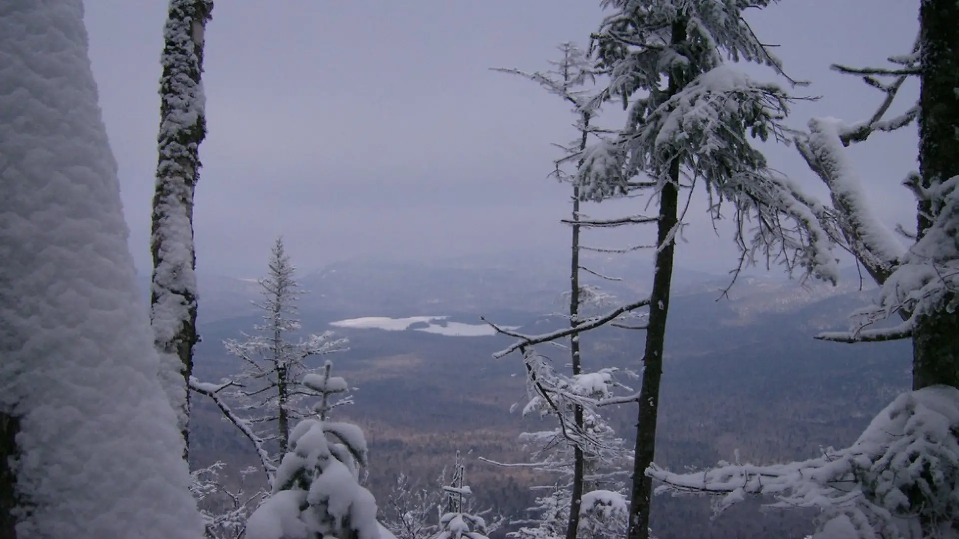 A winter view through the trees on a peak