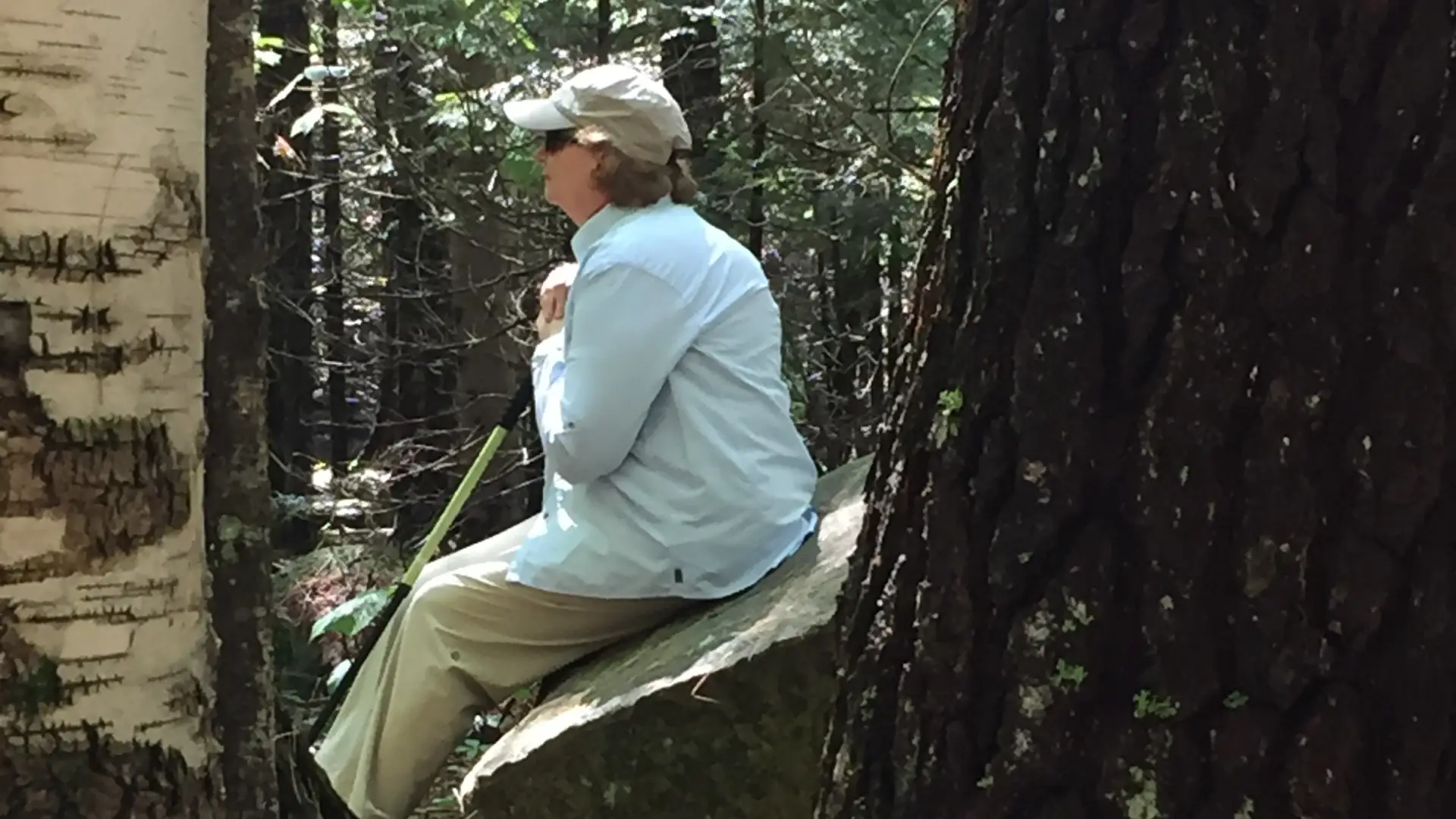 A person sits on a stump deep in the woods to engage with their surroundings.