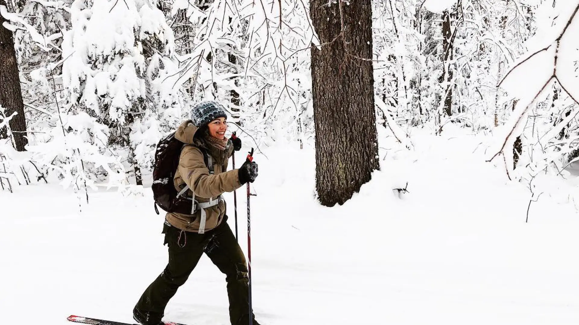 The beginning of the trail is a lovely ski.