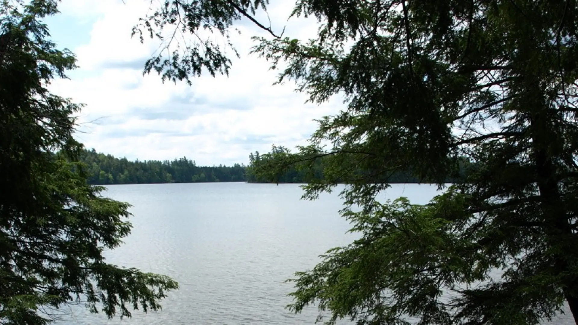 Round Pond seen from the shoreline