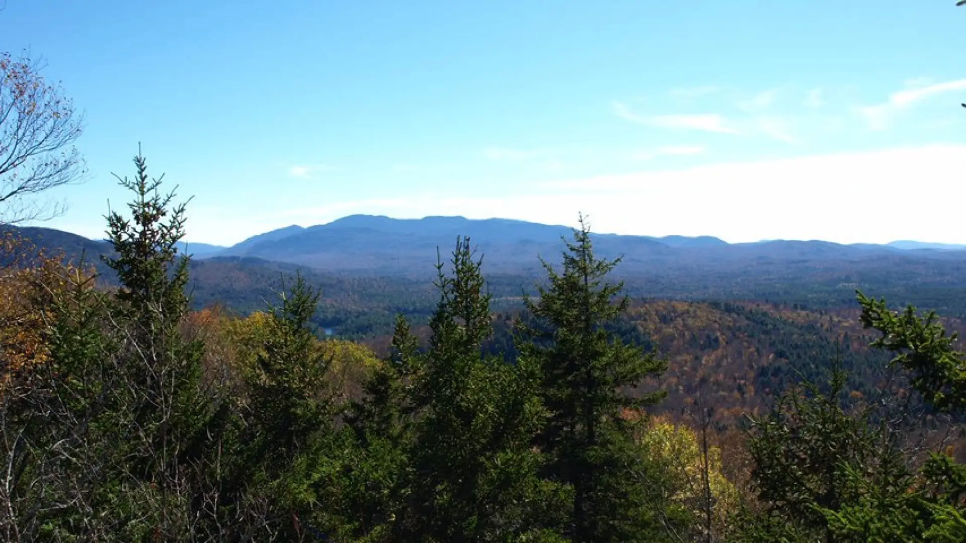 Hazy views atop a mountain