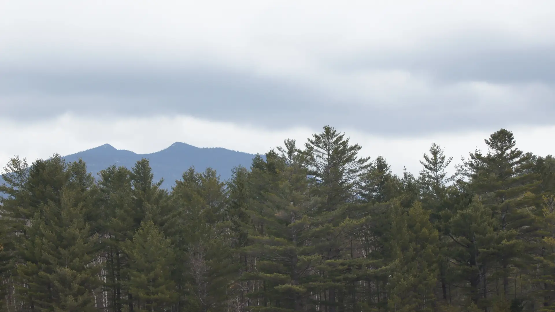 Mountain views.