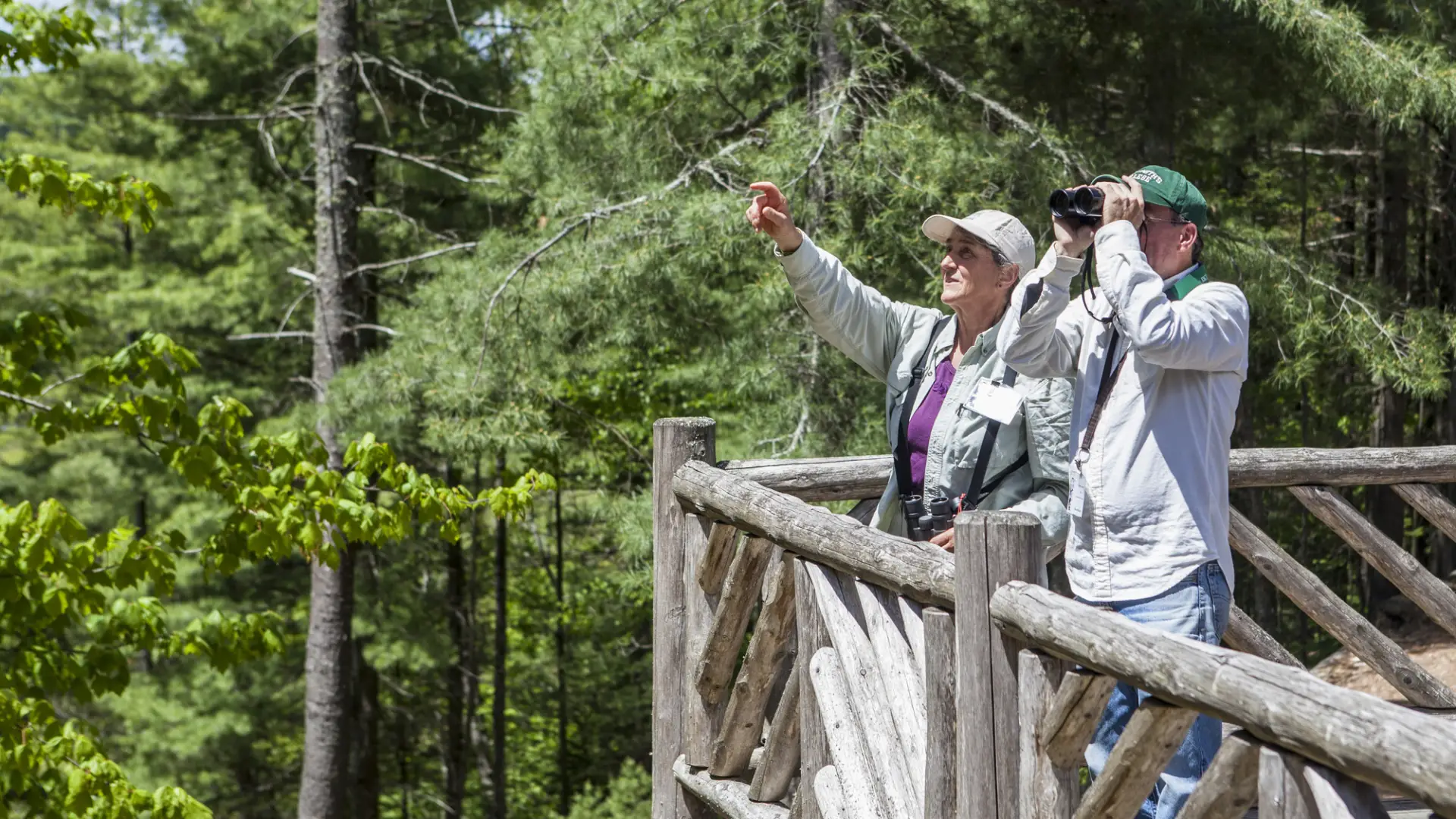 A couple birders look through binoculars and point