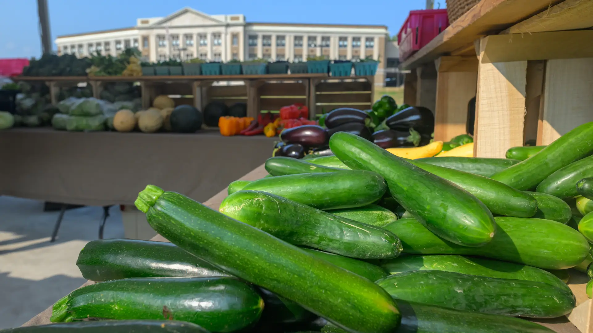 Up close photo of cucumbers with oval and LP High School in the background